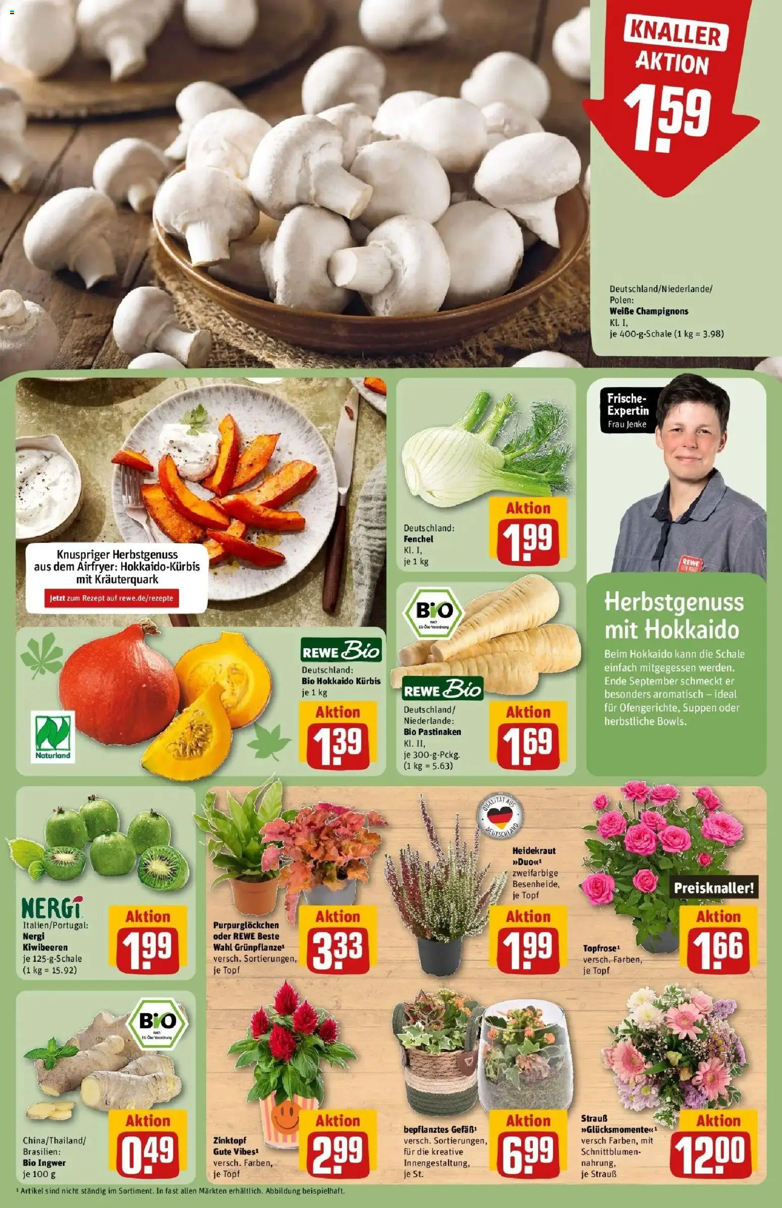 REWE Prospekt ab 28.09.2026 zum Blättern » Angebote | Seite: 13 | Produkte: Champignons, Kürbis