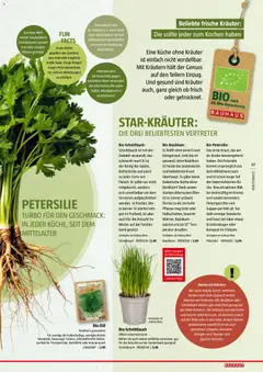 Bauhaus Reiche Ernte ab 25.05.2026 gültig | Seite: 7 | Produkte: Kartoffeln, Kraut, Petersilie