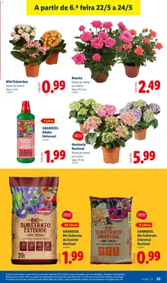 Pré-visualização GRANDIOL Bio Substrato de Exterior Nacional, Bio Substrato de Exterior - Sem Turfa - Para plantas de exterior e hortas. 20 Litros válido de 18.05.2026 | Página: 23 | Produtos: Vaso