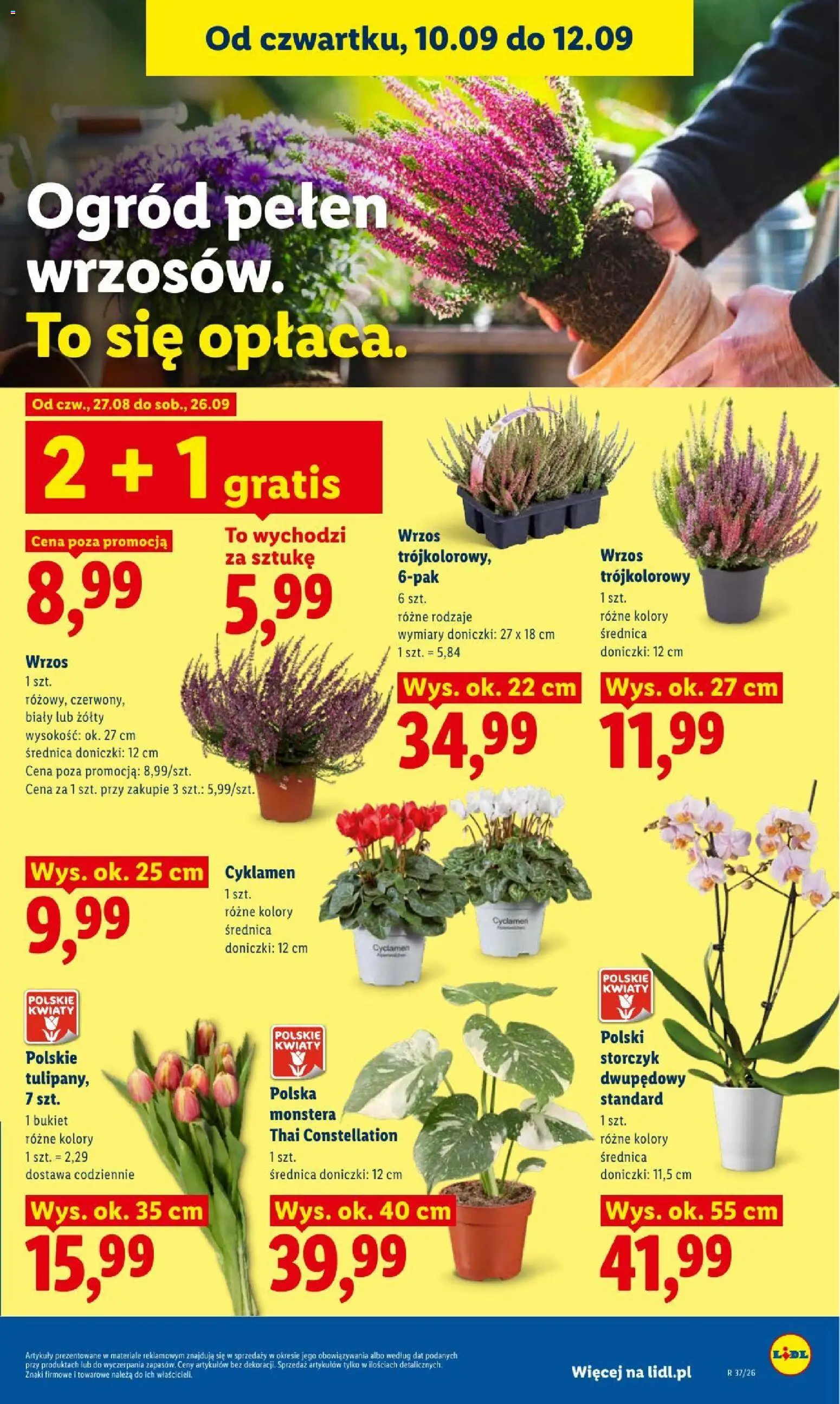 Lidl gazetka od 10.09.2026 | Strona: 83