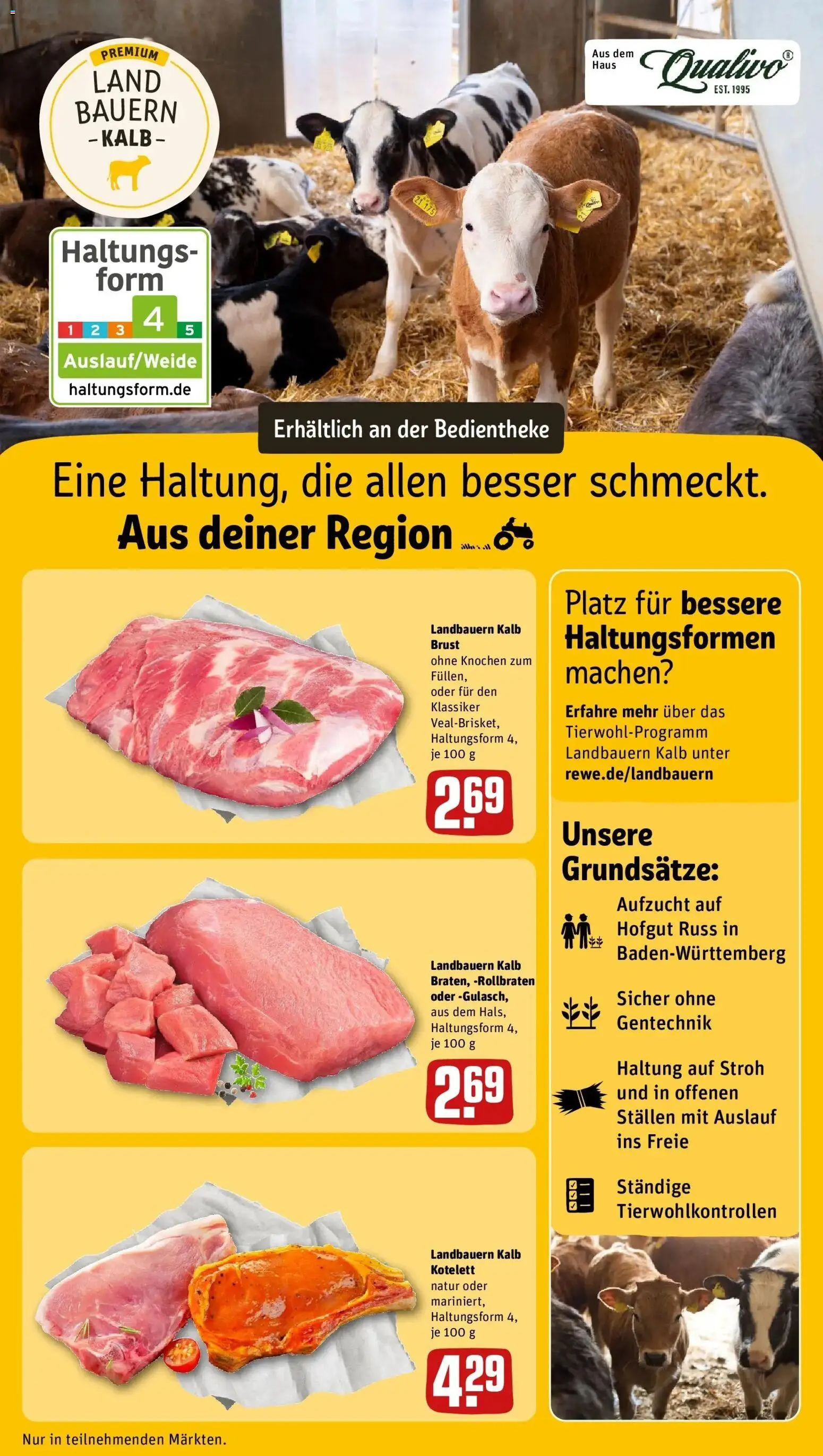 Rewe Prospekt Vaihingen An Der Enz – gültig ab 08.06.2026 | Seite: 13