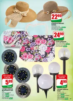 Pogląd oferty "Dino gazetka" - ważna od 01.07.2026 | Strona: 67