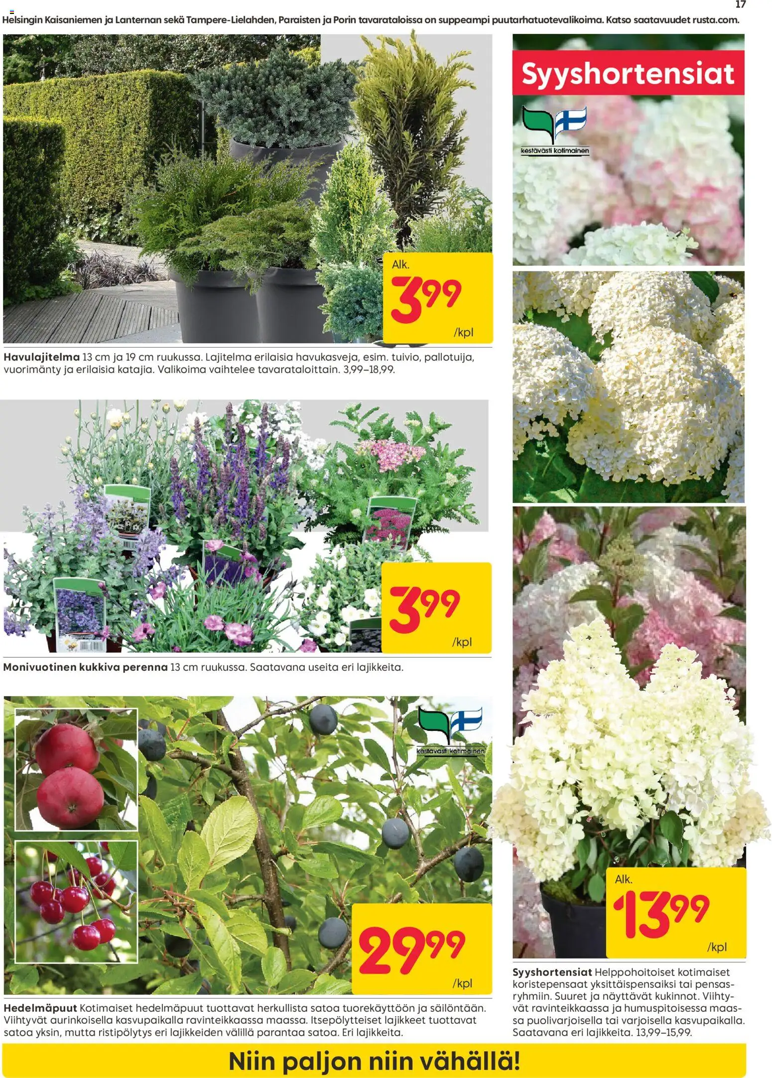 Rusta tarjoukset – voimassa 24/08/2026 alkaen | Sivu: 17