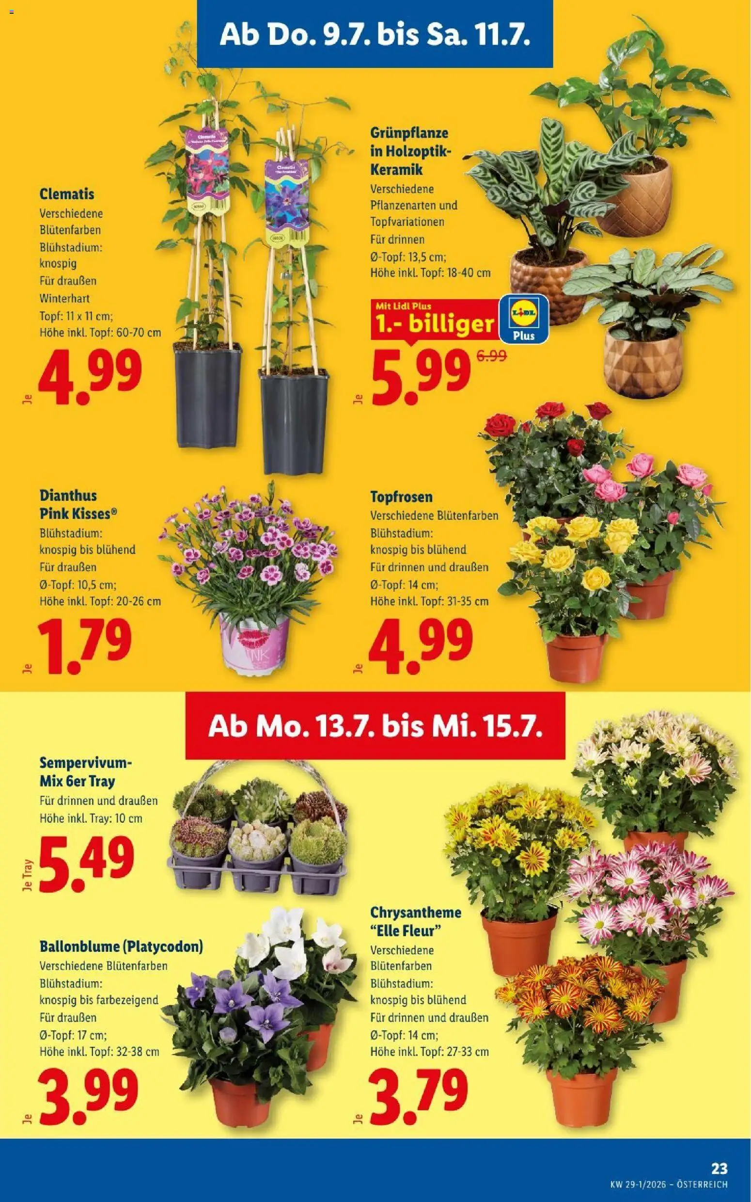 Lidl - Flugblatt gültig ab 09.07.2026 | Seite: 27