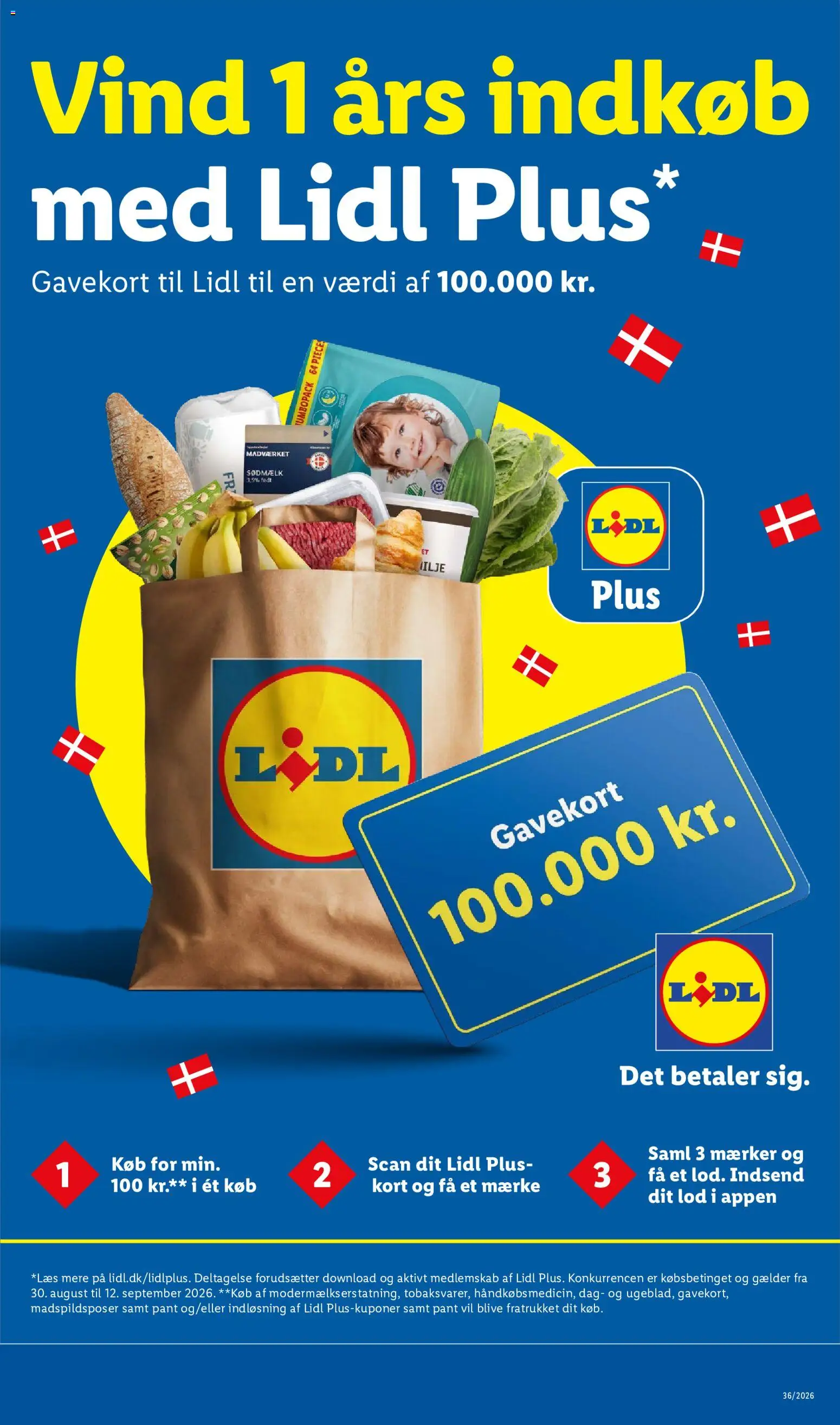 Lidl tilbudsavis – gyldig fra 30/08/2026 | Side: 31