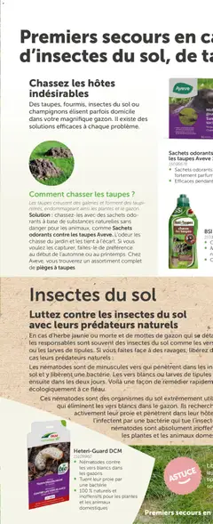 Aveve Guide du jardin - Voorbeeld van een folder van Aveve, geldig van 09/02/2026 | Pagina: 84 | Producten: Parfum, Champignons