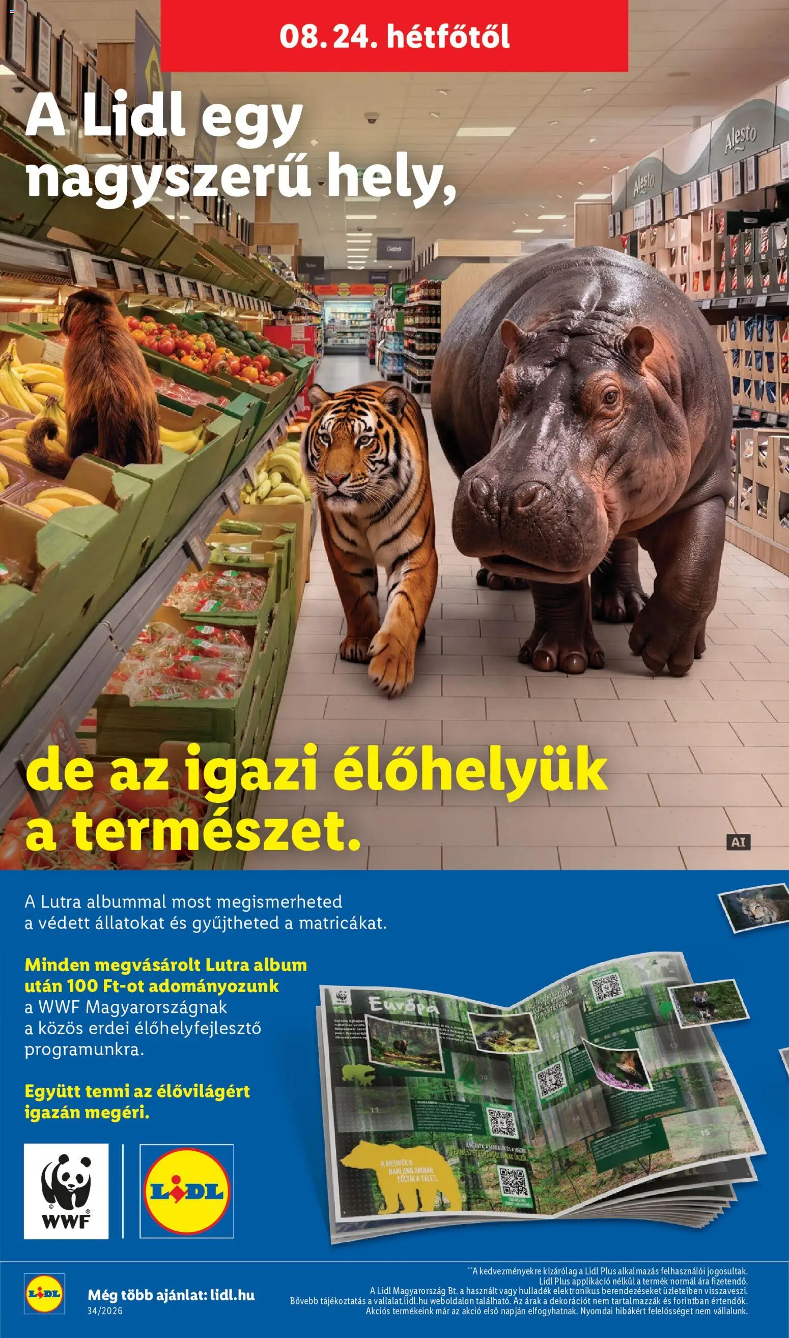 Lidl akciós ujság - amely érvényes a következő dátumtól: 2026.08.19. | Oldal: 28 | Termékek: Alesto