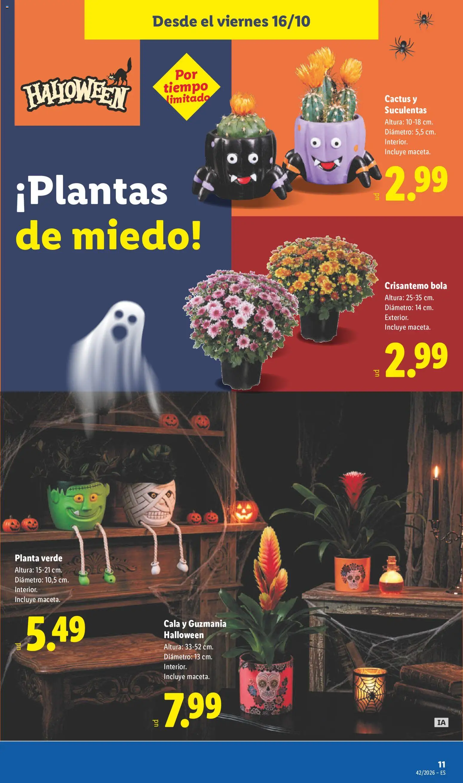 Lidl folleto │ válido desde el 12/10/2026 | Página: 31