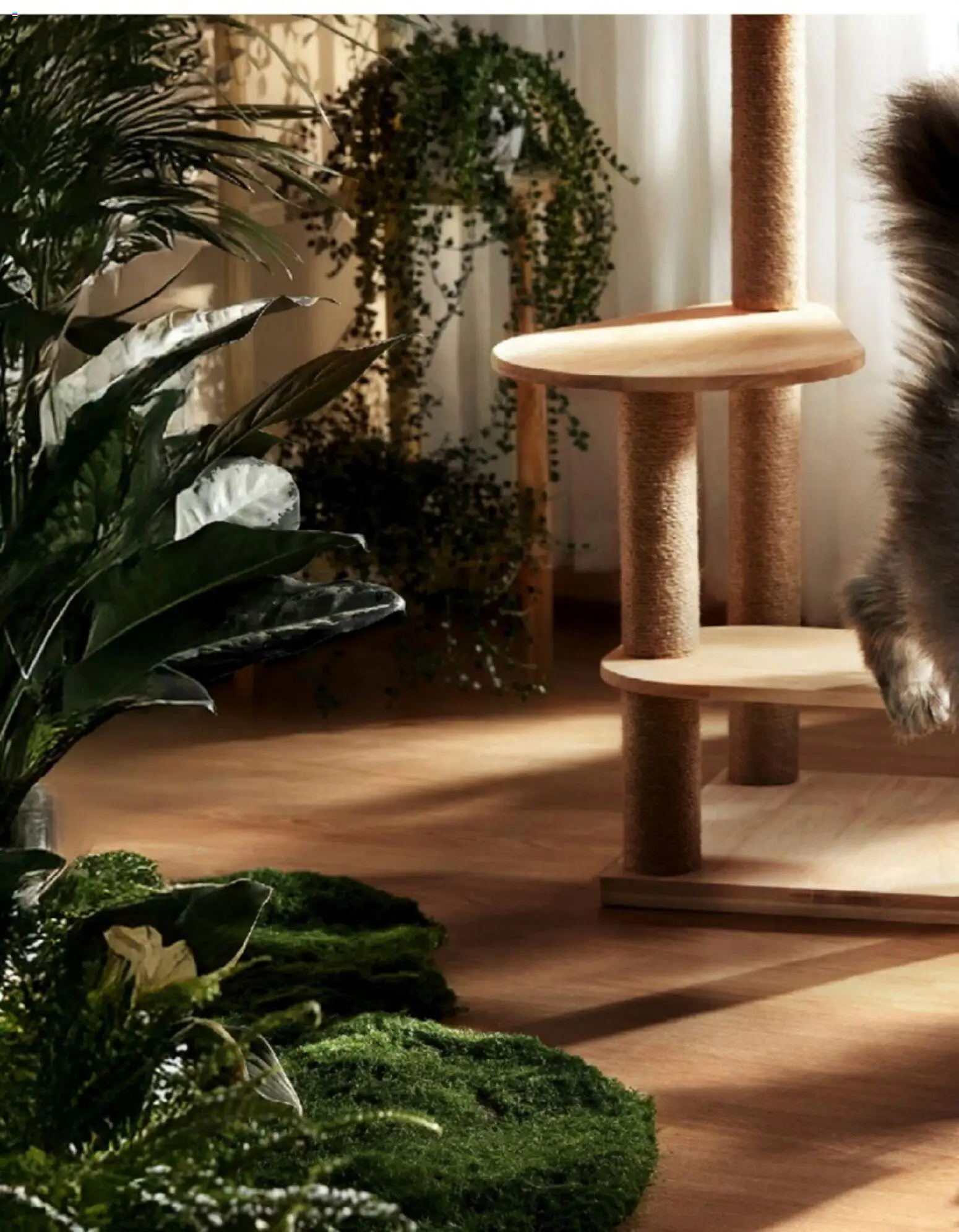 zookauf Themenkatalog Katze – gültig ab 01.10.2026 | Seite: 10