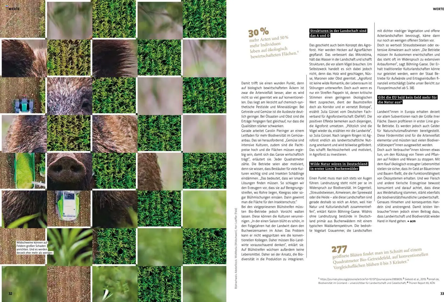 Denns BioMarkt KREO Magazin gültig ab 22.07.2026 | Seite: 17