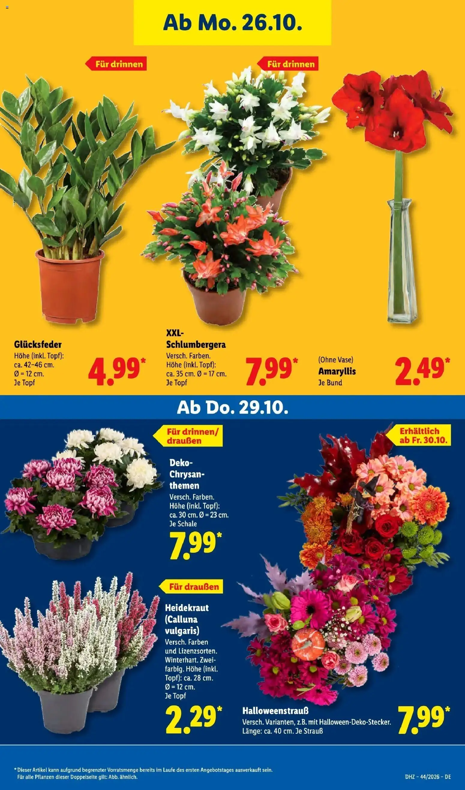 Lidl Prospekt München-laim (ab 26.10.2026) zum Blättern » Angebote | Seite: 33 | Produkte: Vase