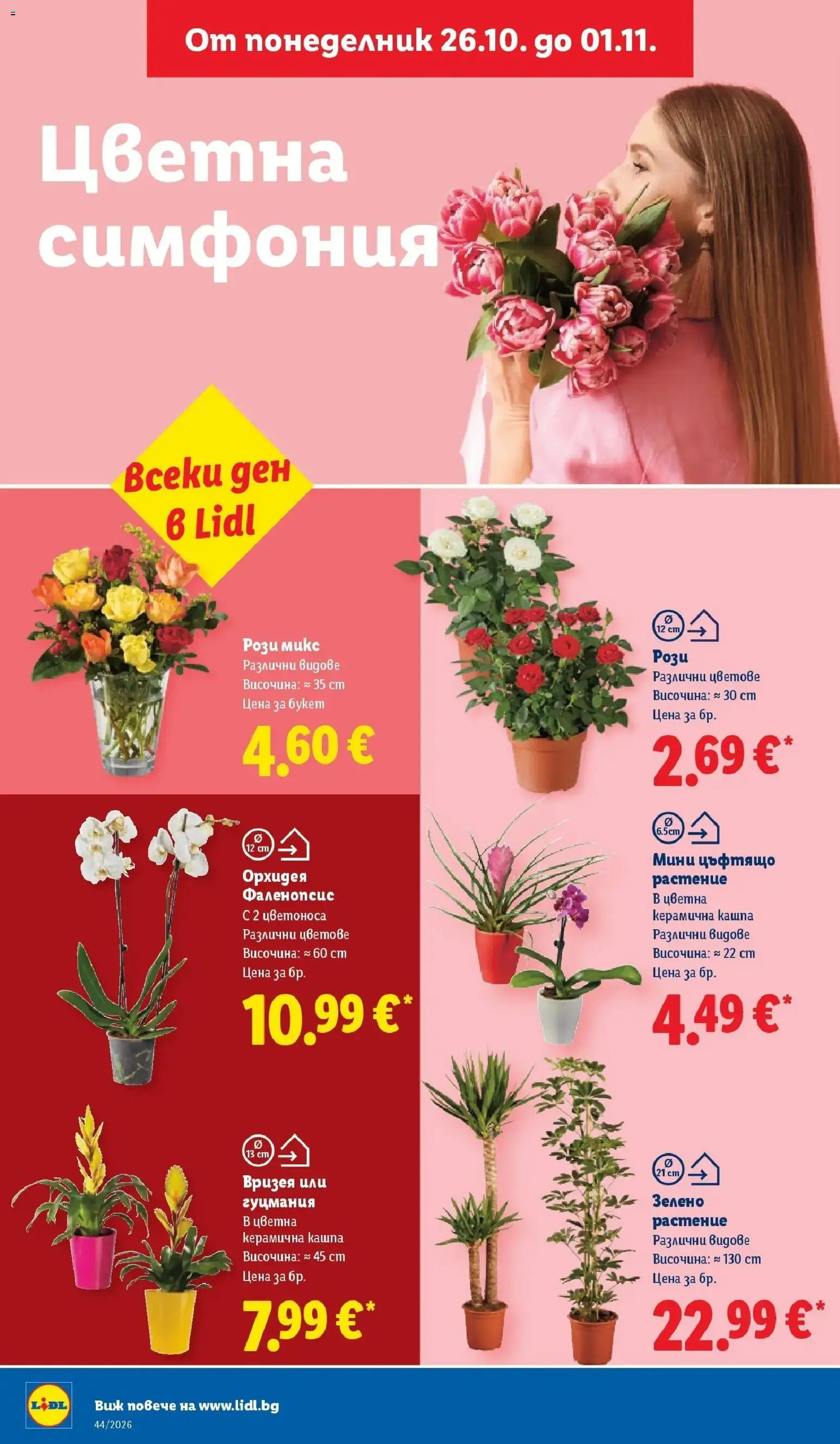 {H1} | Страница: 50 | Продукти: Орхидея