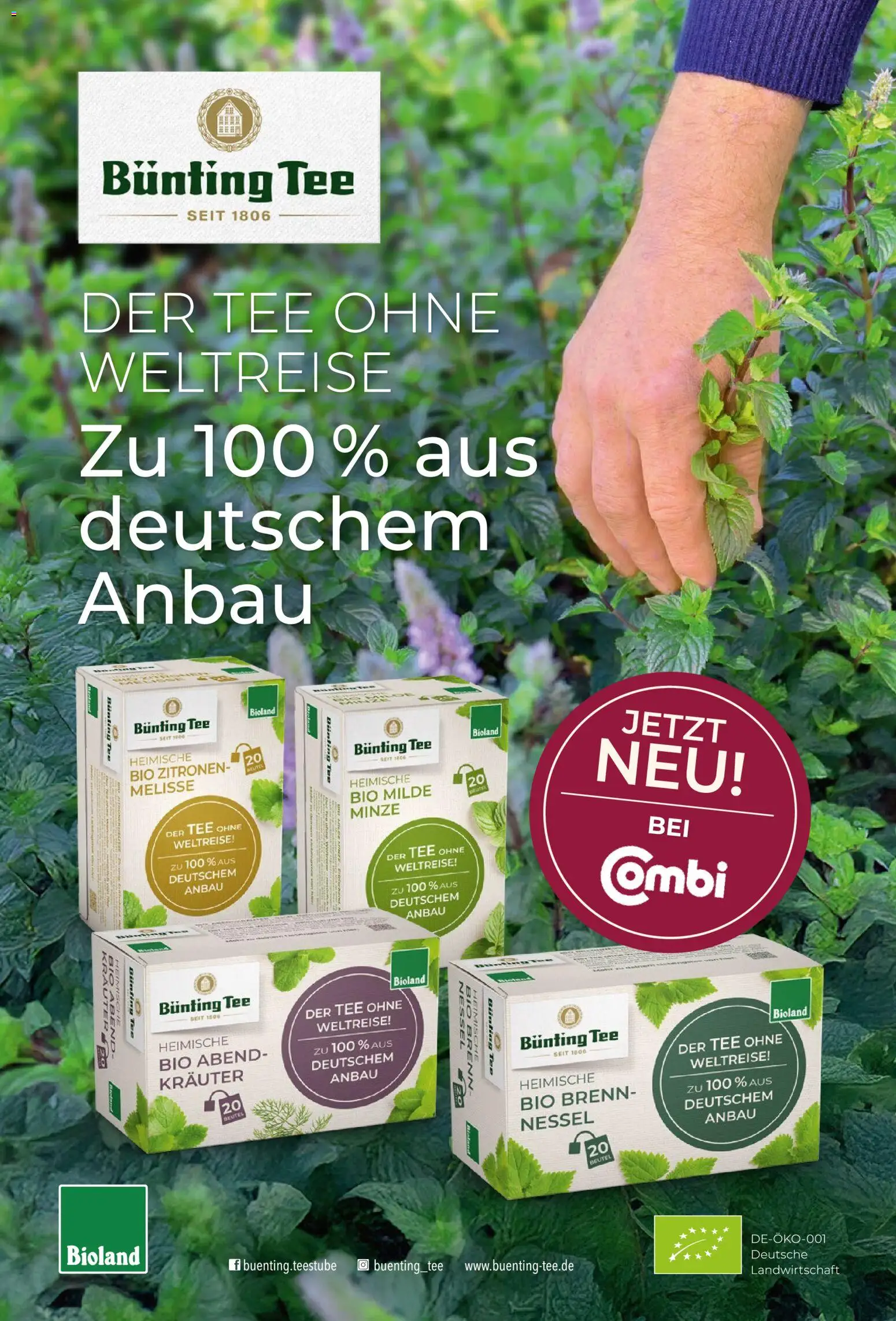 Combi myTime Juni 2026 – gültig ab 01.06.2026 | Seite: 31 | Produkte: Tee, Zitronen