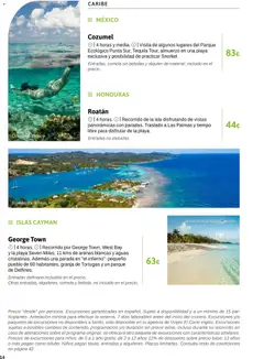 Vista previa Viajes El Corte Inglés Excursiones Cruceros válido desde el 18/03/2026 | Página: 14 | Productos: Tequila, Bebidas