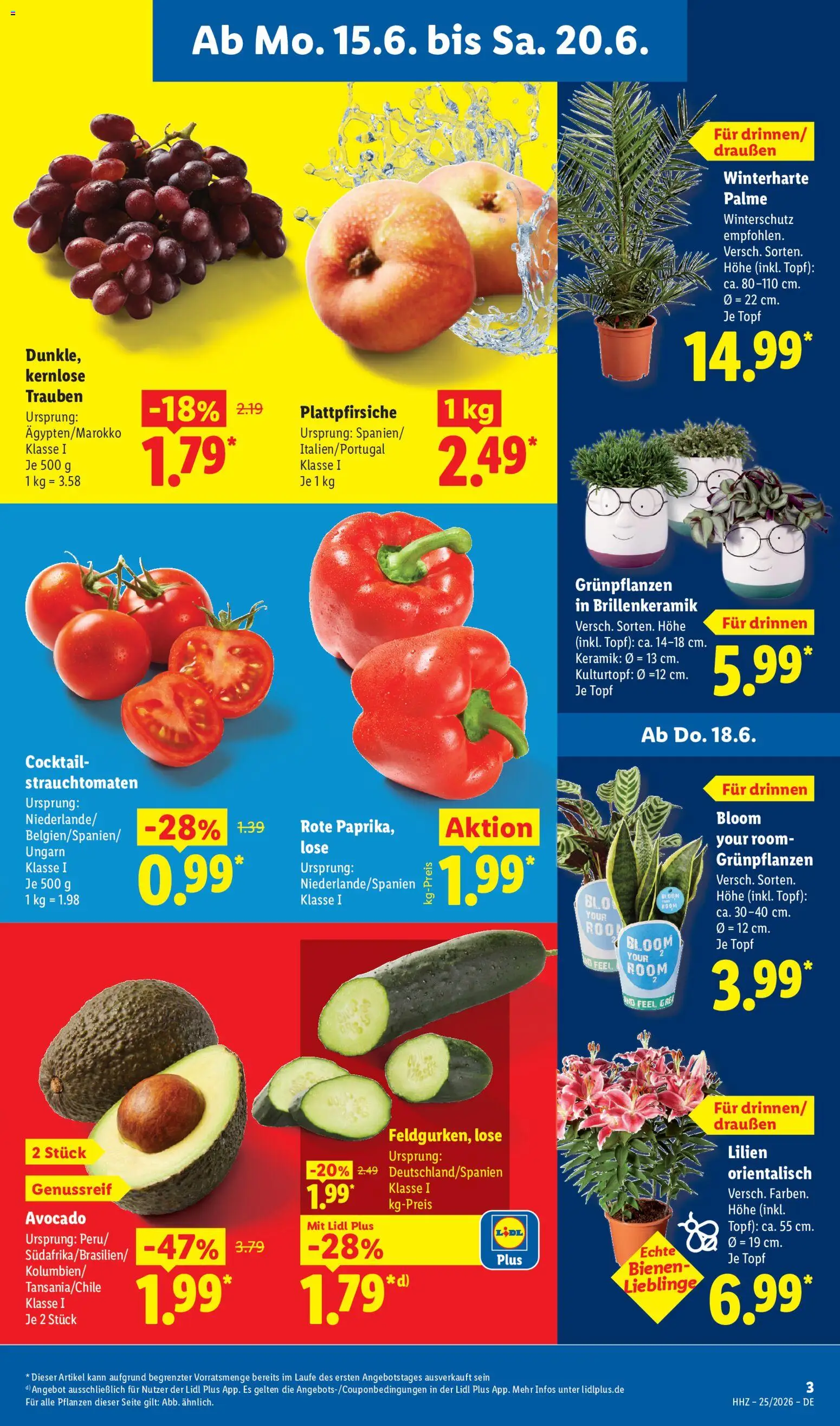 Lidl Prospekt – gültig ab 15.06.2026 | Seite: 3 | Produkte: Trauben, Avocado