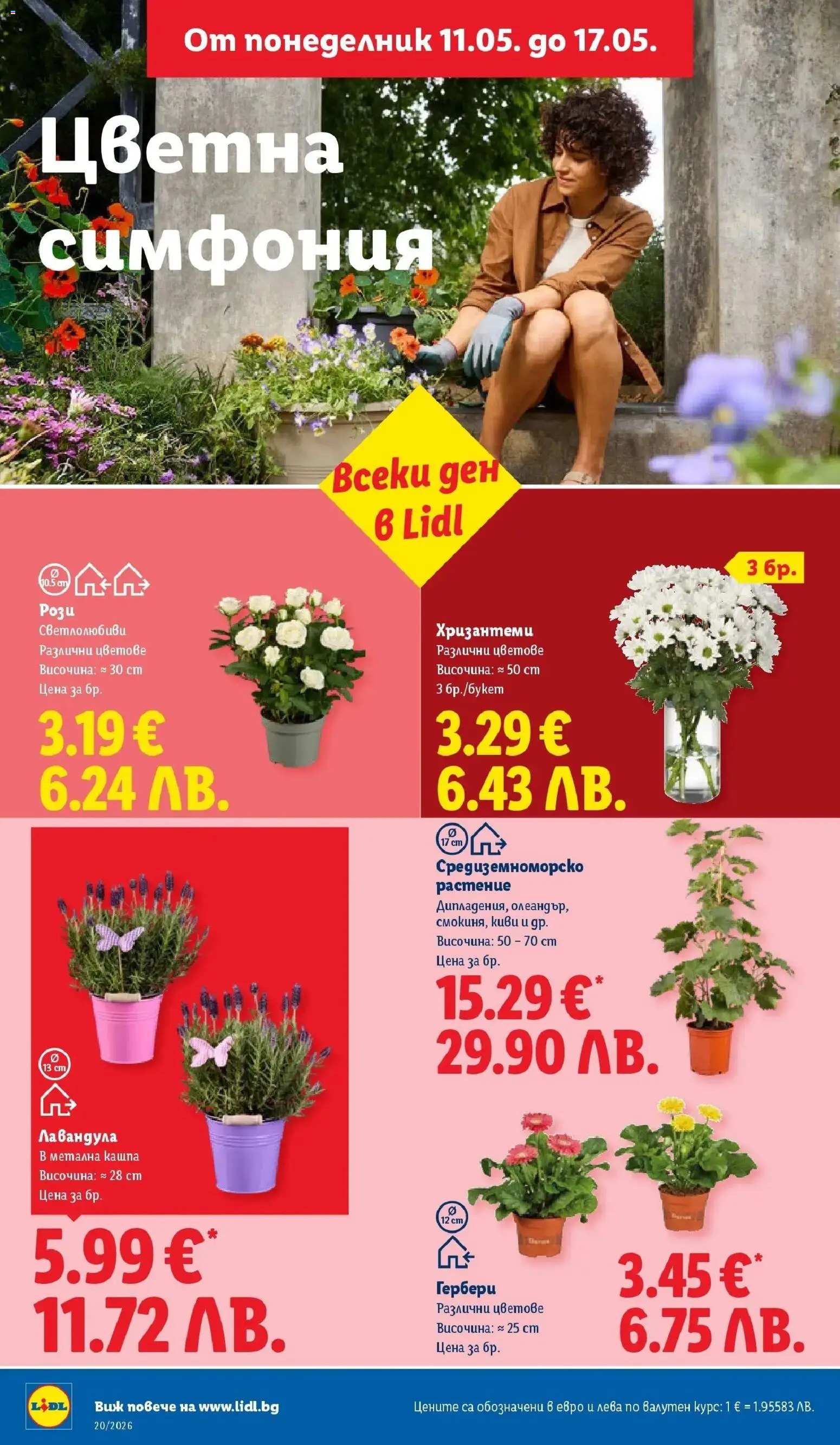 {H1} | Страница: 46 | Продукти: Киви