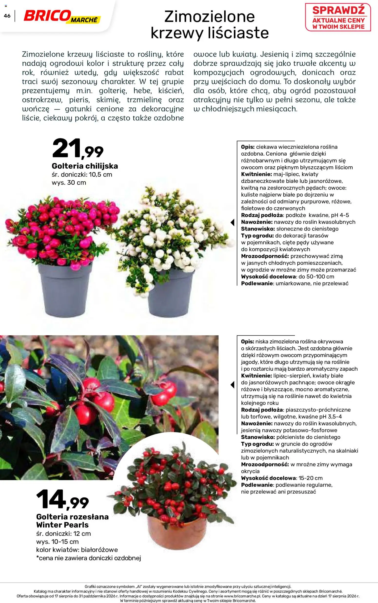 Brico Marché gazetka - Jesienne Inspiracje od 17.08.2026 | Strona: 46 | Produkty: Podłoże, Zapach, Doniczki, Kwiaty