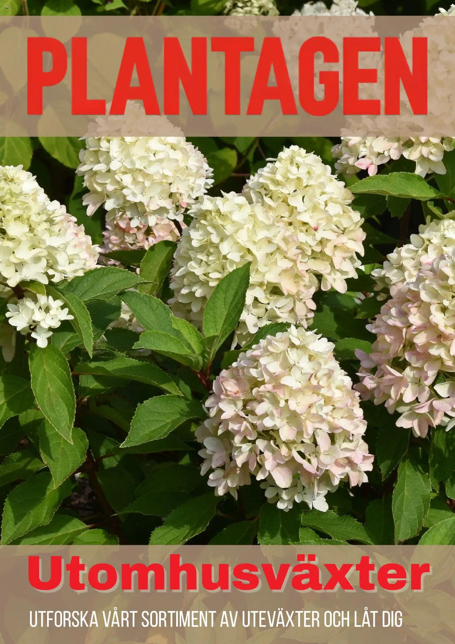 Plantagen reklamblad aktuell från 01/09/2026 | Sida: 1