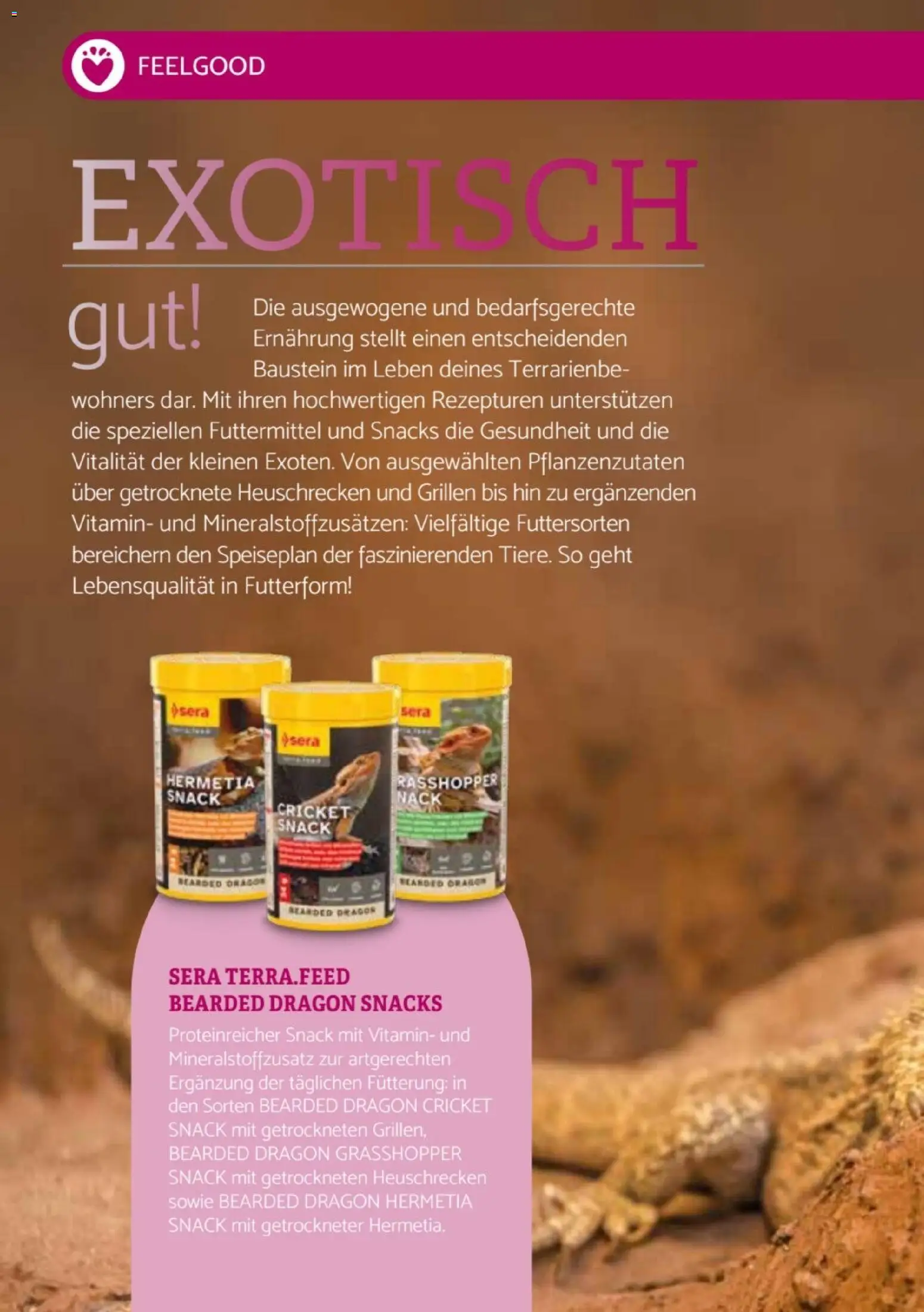 zookauf Heimtier Journal Special – gültig ab 01.10.2026 | Seite: 6