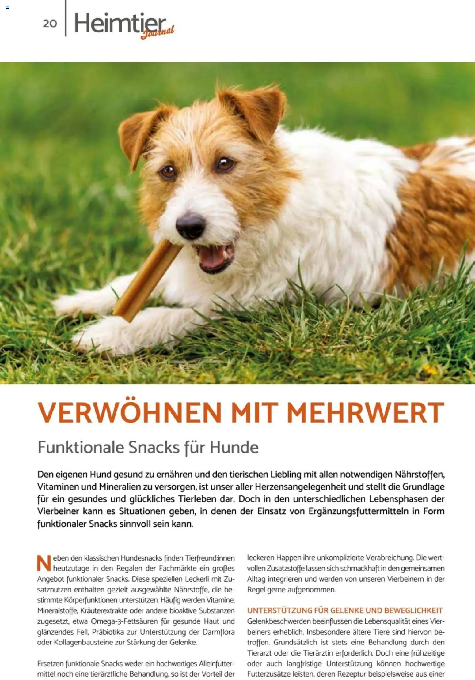 zookauf Heimtier Journal – gültig ab 01.07.2026 | Seite: 20