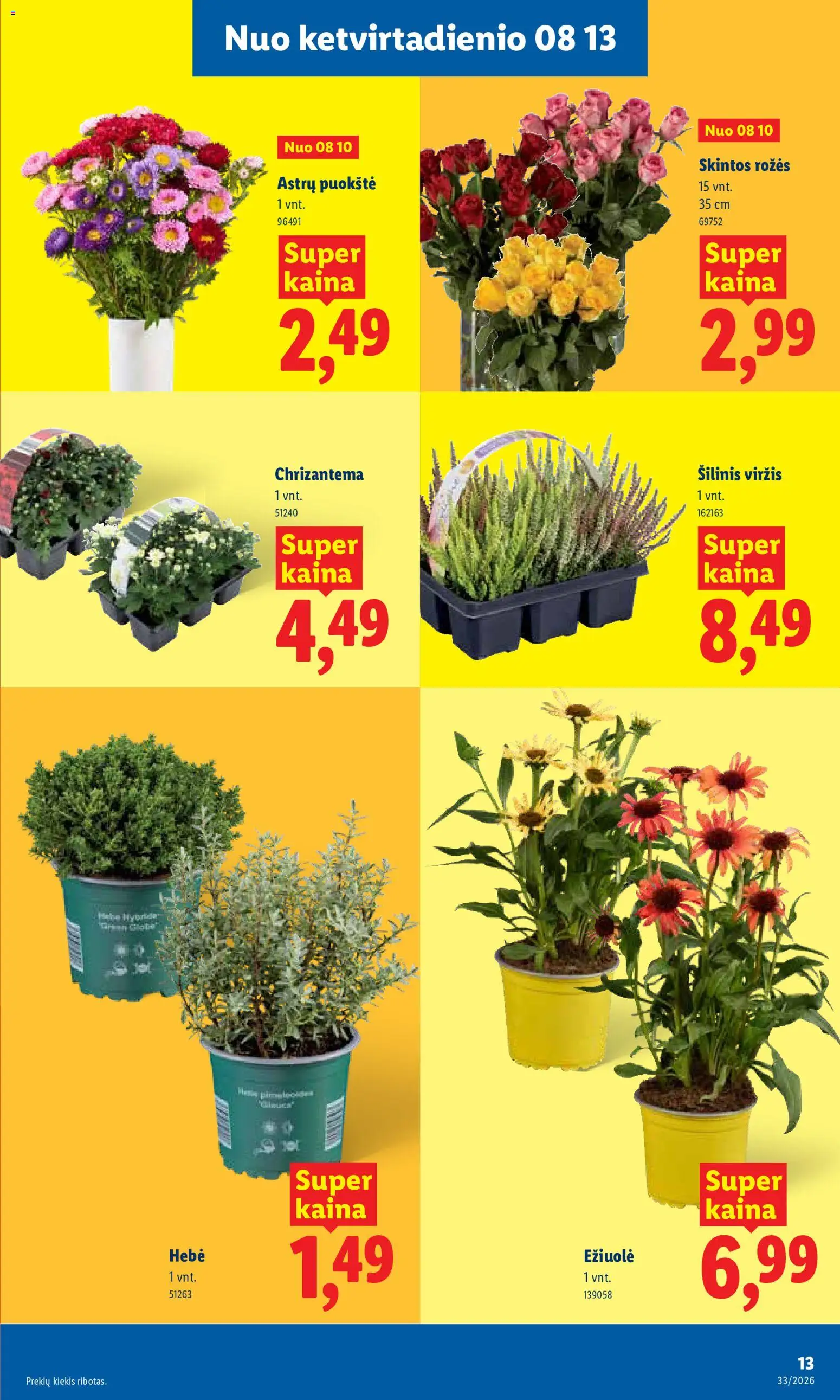 LIDL akcijos nuo 2026.08.10 | Puslapis: 13