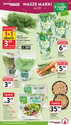 Pogląd oferty "Intermarche gazetka" - ważna od 24.09.2026 | Strona: 13 | Produkty: Koperek, Włoszczyzna, Roszponka, Mięta