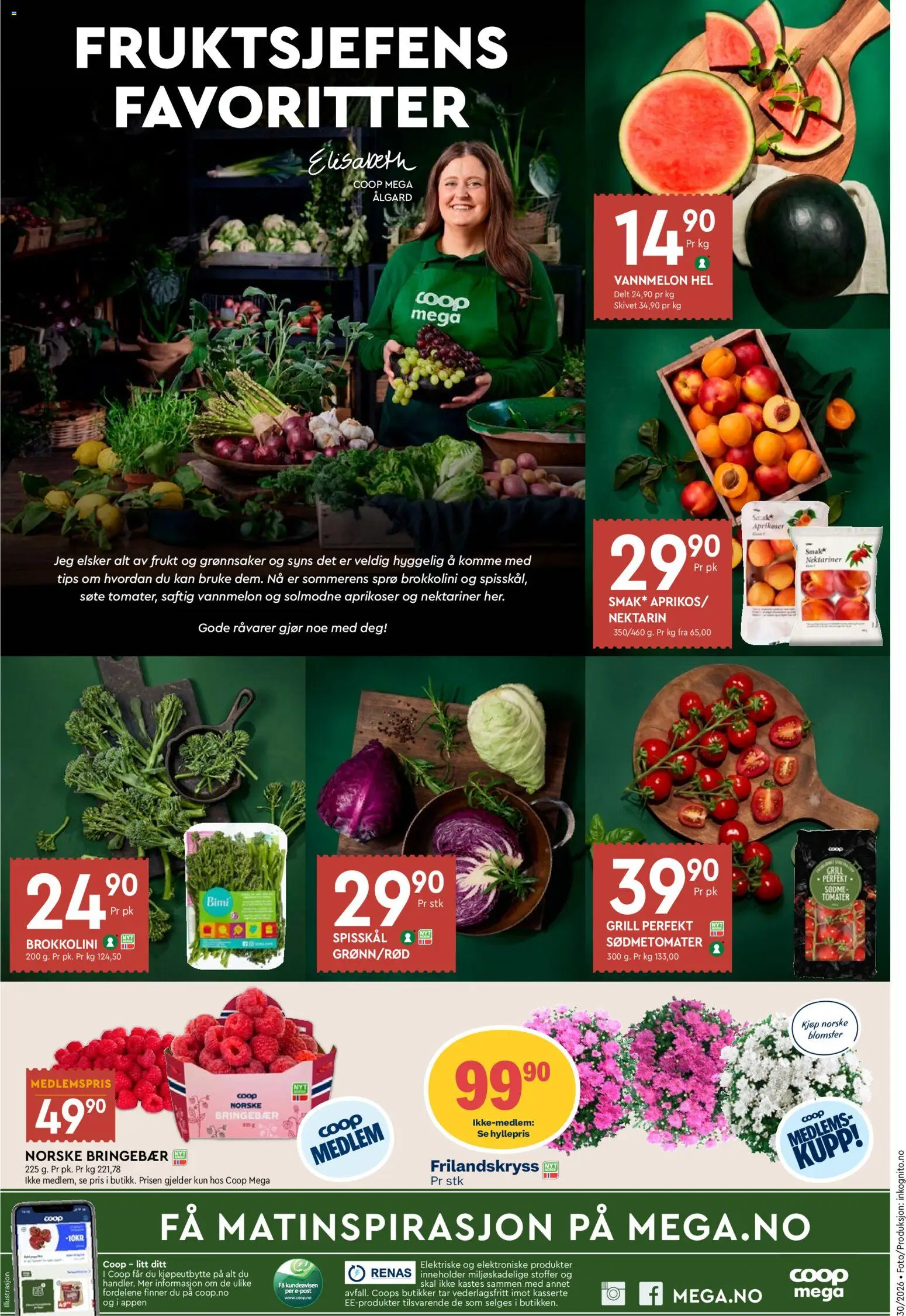 {H1} | Side: 8 | Produkter: Tomater, Bringebær, Umetna rastlina, Гриби