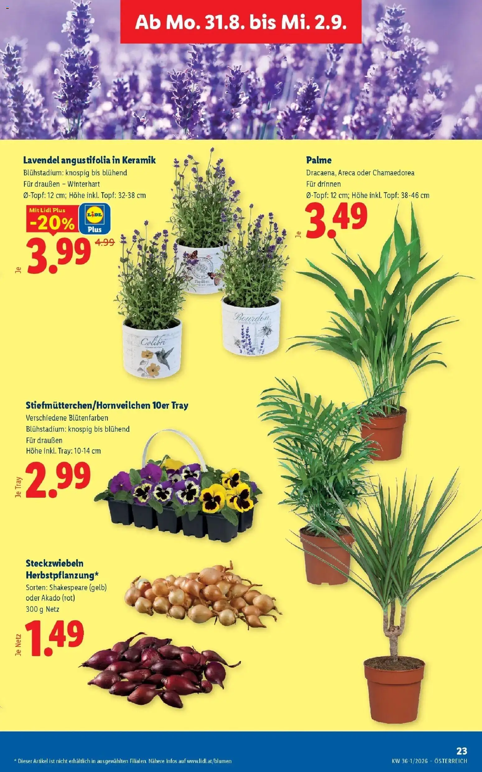 Lidl Flugblatt - Jenbach ab 23.08.2026 - Angebote ab donnerstag | Seite: 30