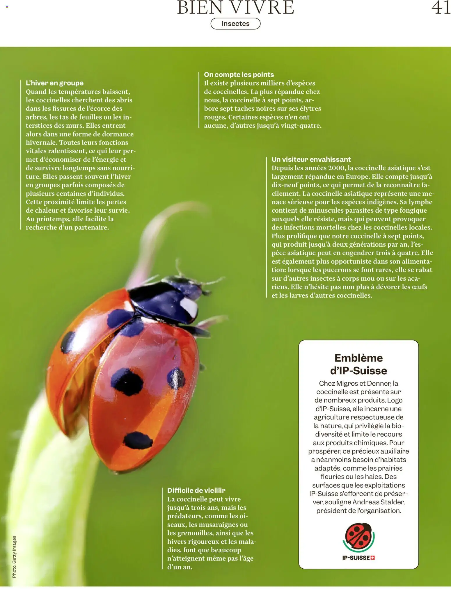 Migros aktionen Magazine FR – gültig ab 29.07.2026 | Seite: 41