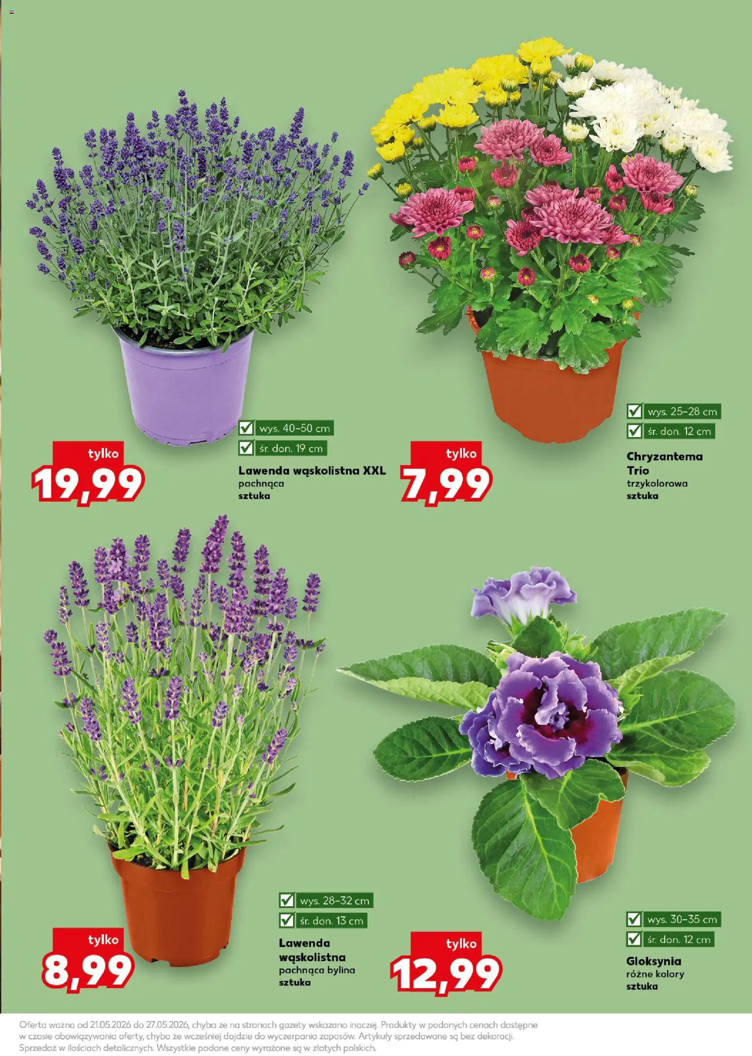 Kaufland Polsko leták - Wiosenne inspiracje od 21.05.2026 | Strana: 11