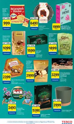 Tesco aktuális akciós újság - amely érvényes a következő dátumtól: 29.04.2026 | Oldal: 11