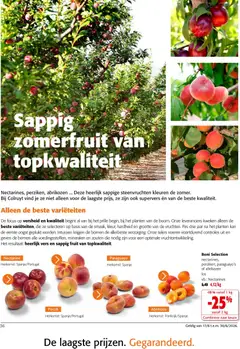 Colruyt folder / publicité - Voorbeeld van een folder van Colruyt, geldig van 17.06.2026 | Pagina: 36 | Producten: Fruit, Abrikoos, Kan