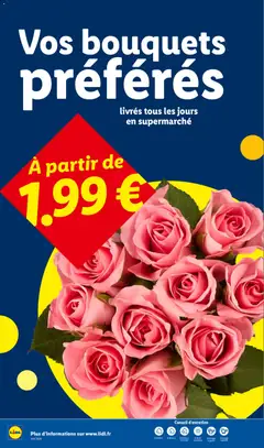 LIDL - Prévisualisation de LIDL catalogue valide à partir de 20/08/2026 | Page: 34