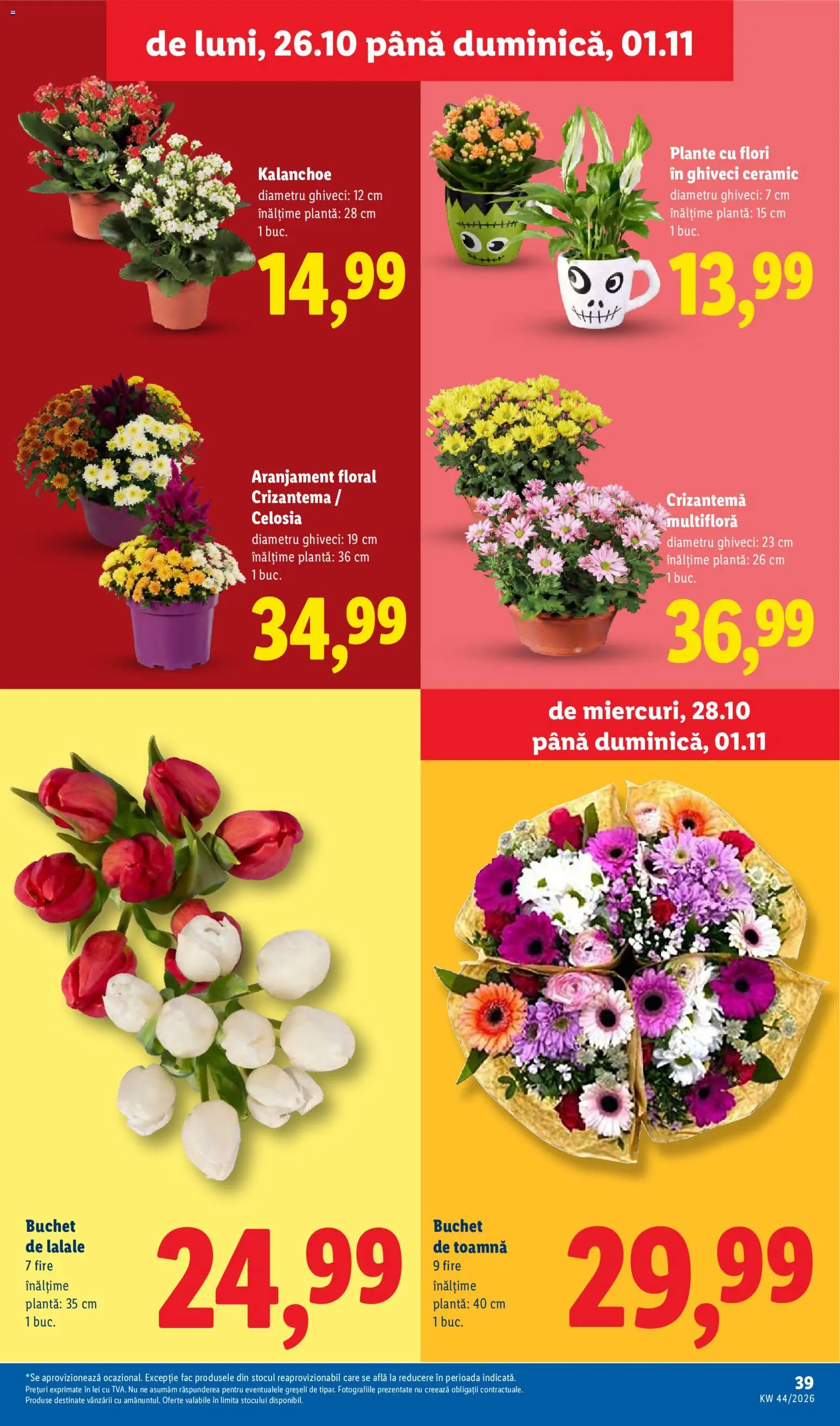 Noul catalog Lidl – valabil de la 26.10.2026 | Pagină: 39