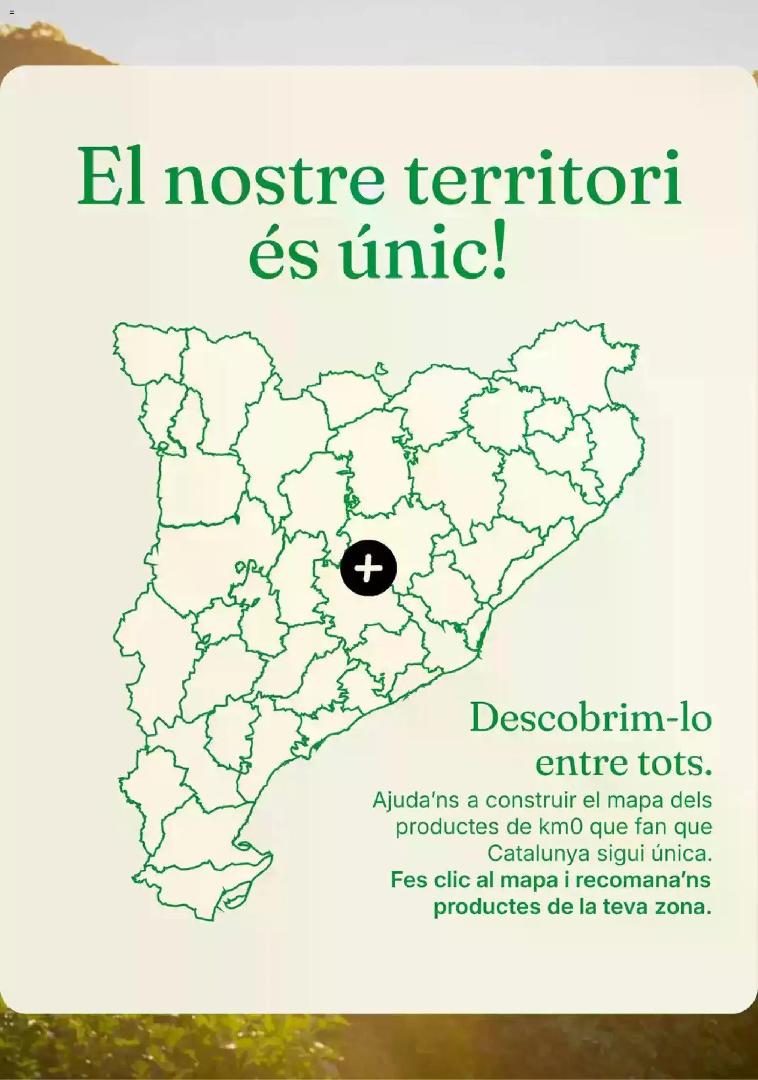 Bonpreu folleto │ válido desde el 15/10/2026 | Página: 4