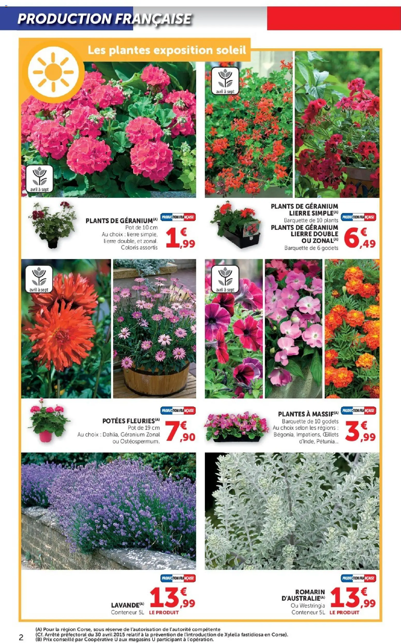 {H1} | Page: 2 | Produits: Plantes, Géranium