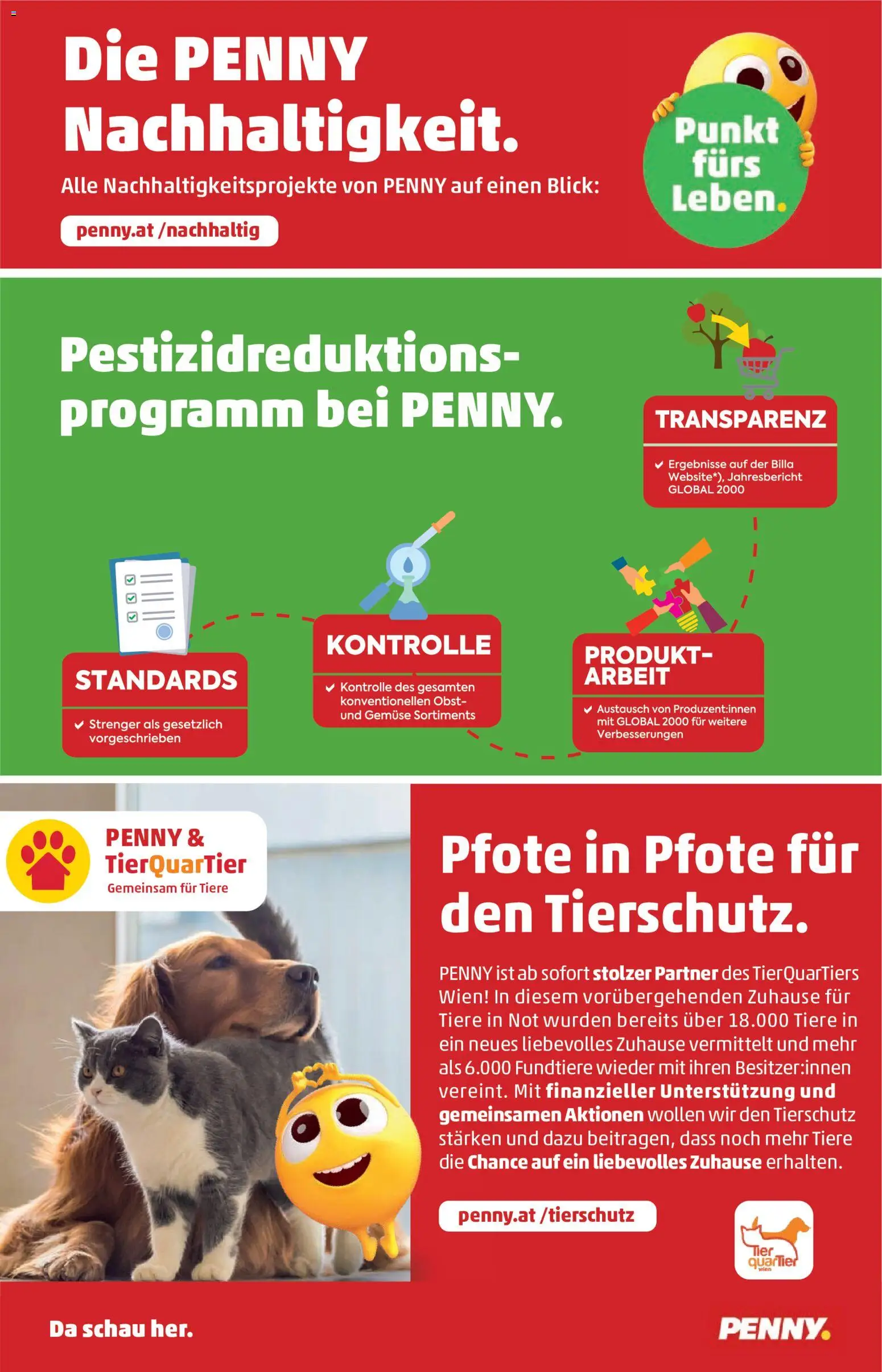 Penny Markt Flugblatt gültig ab 29.10.2026 | Seite: 36 | Produkte: Gemüse, Obst
