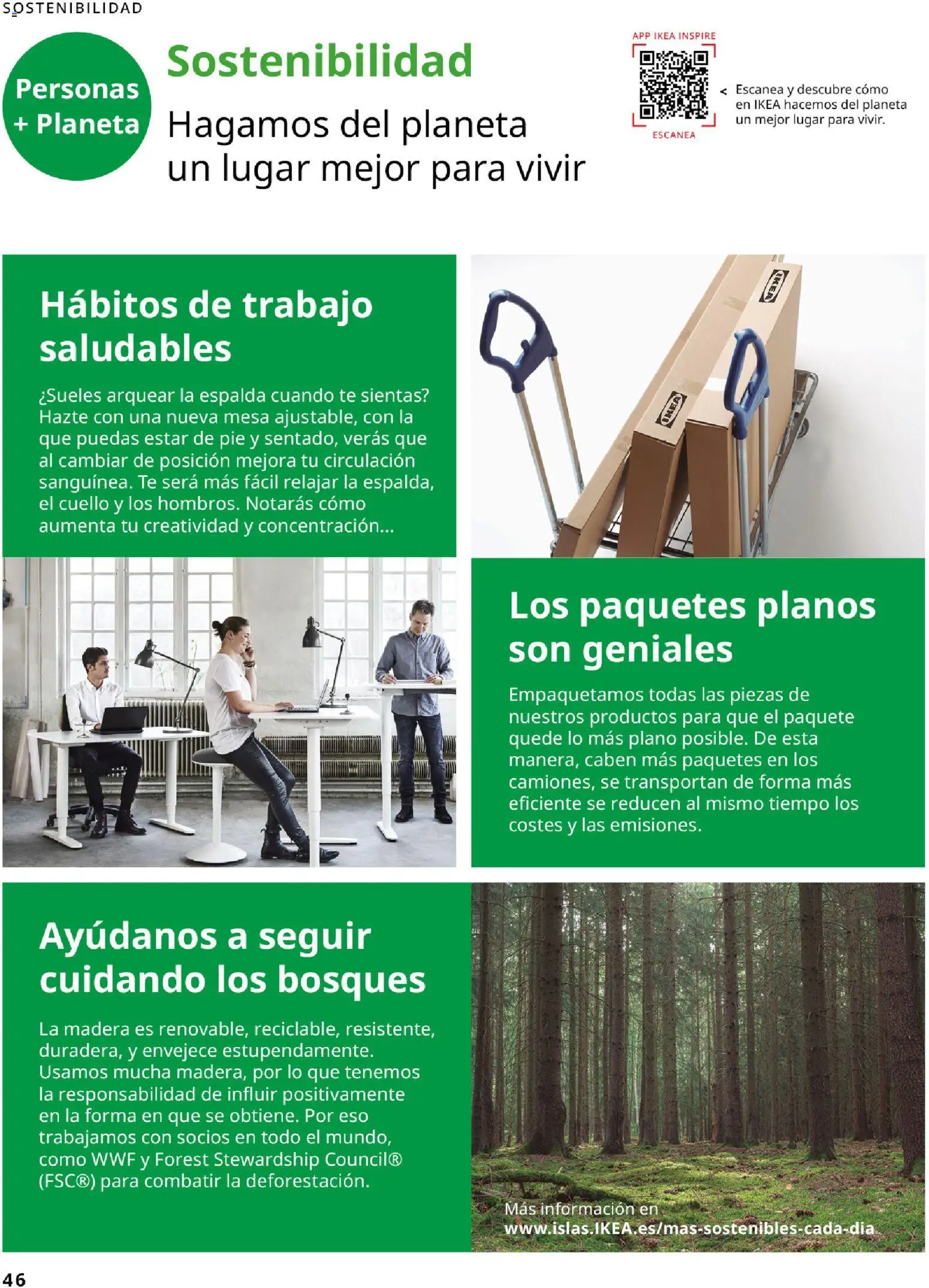 Catálogo IKEA para tu negocio │ válido desde el 01.02.2026 | Página: 46 | Productos: Té, Mesa