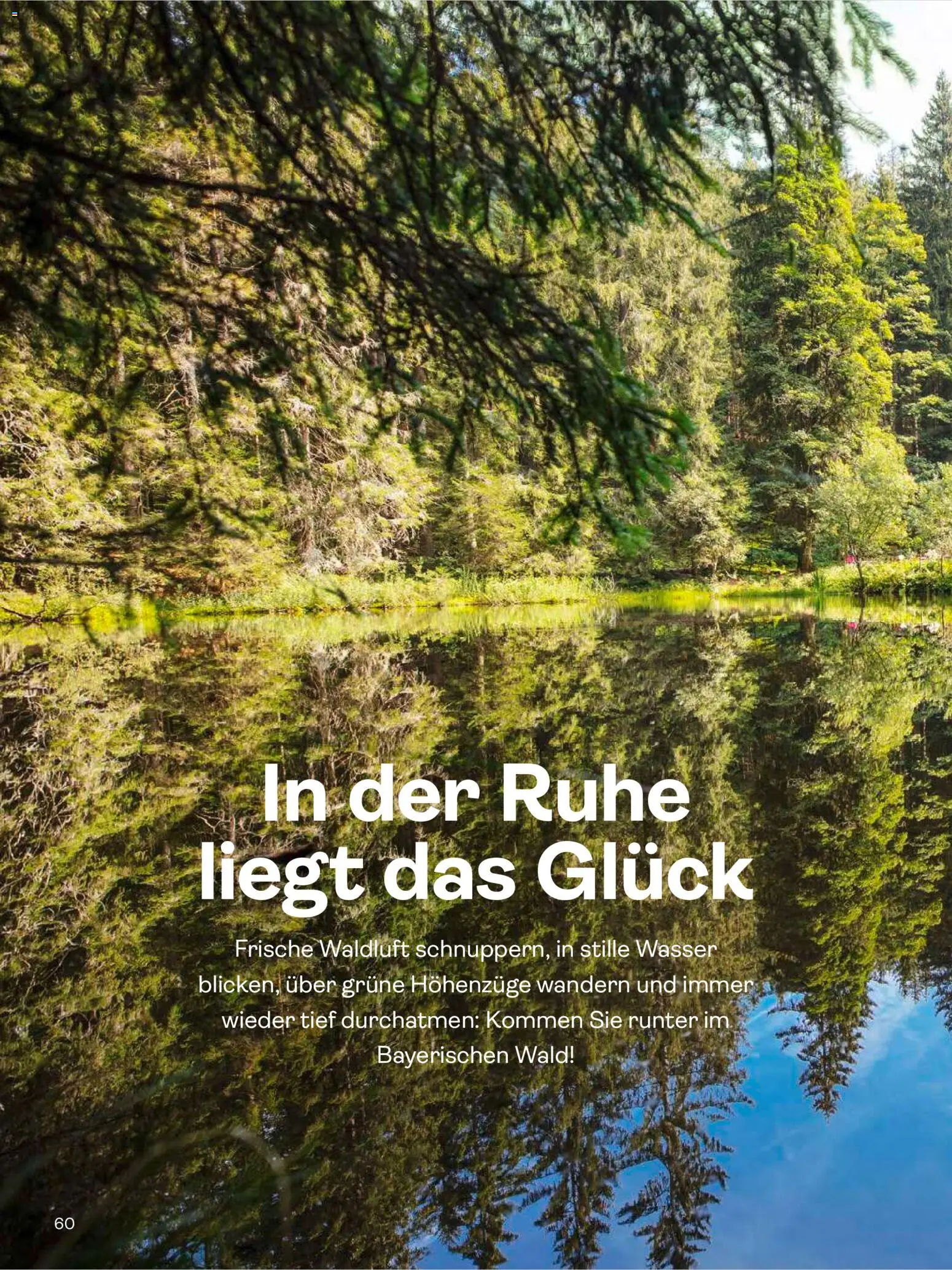 TUI Travel – gültig ab 30.06.2026 | Seite: 60 | Produkte: Wasser