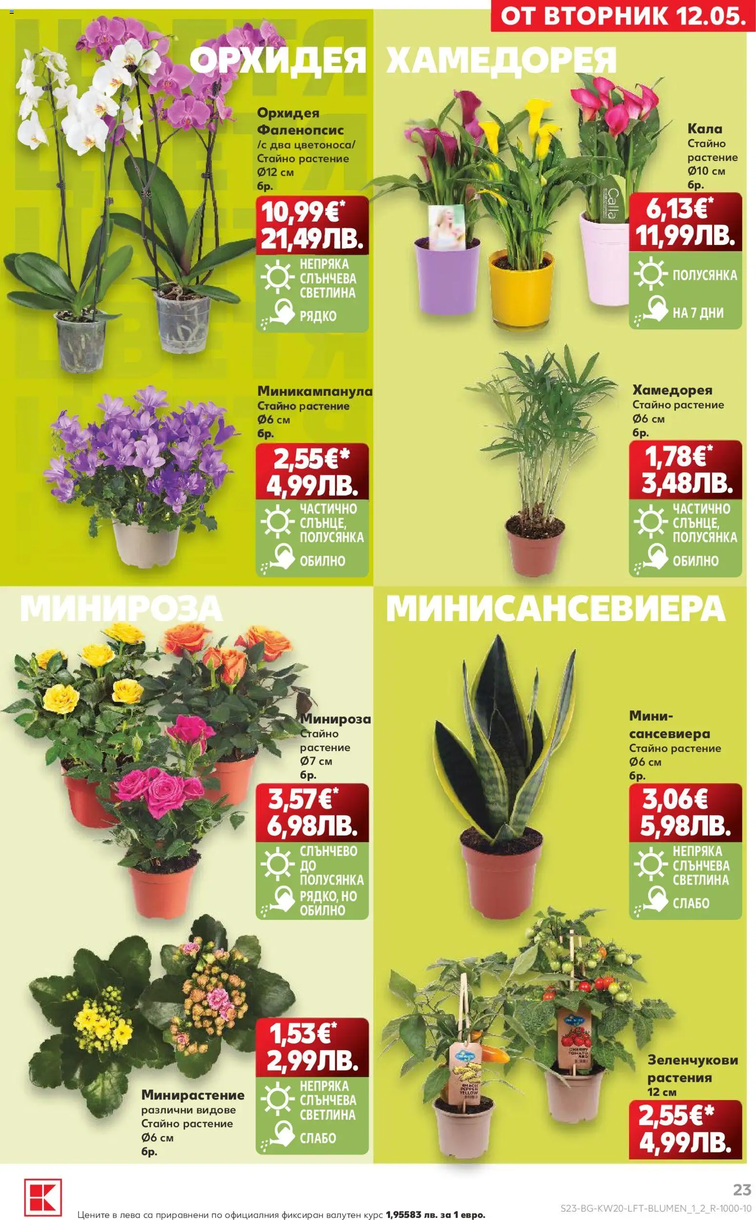 {H1} | Страница: 23 | Продукти: Орхидея