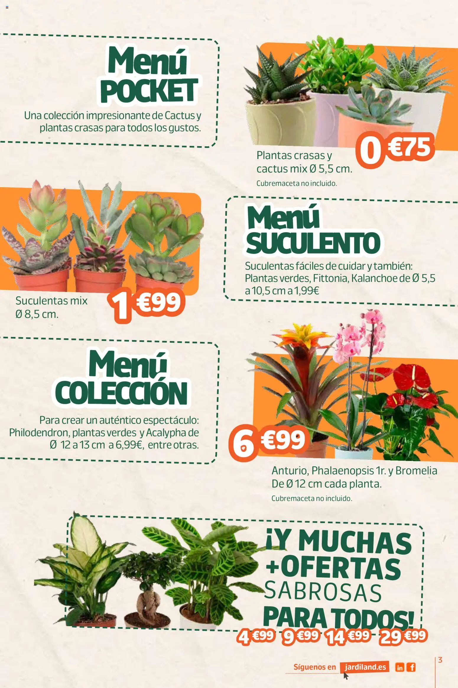 Jardiland folleto │ válido desde el 27/08/2026 | Página: 3
