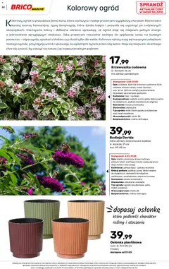 Pogląd oferty "Brico Marché gazetka - Wiosna" - ważna od 04.03.2026 | Strona: 52