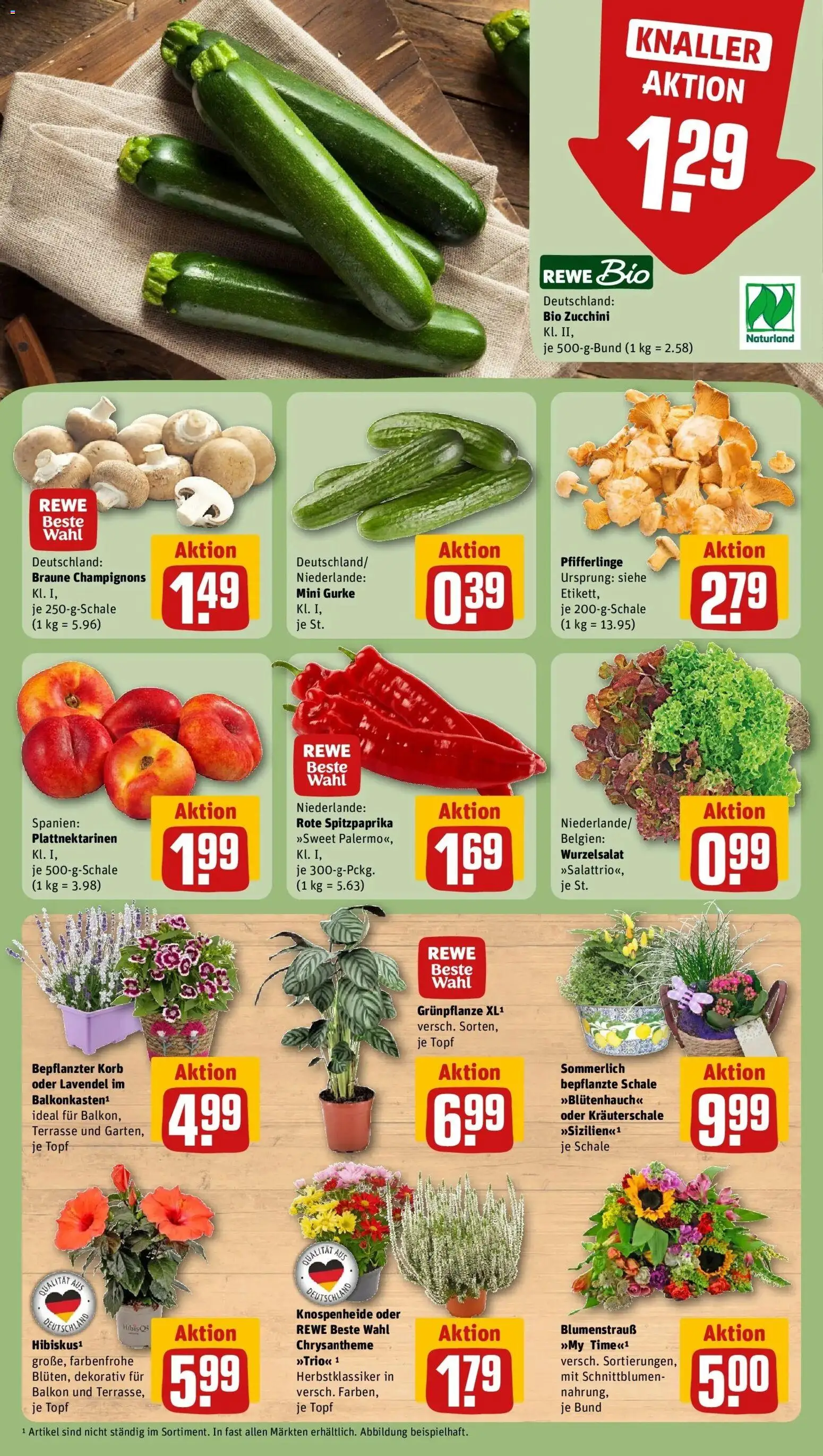 REWE Prospekt ab 17.08.2026 zum Blättern » Angebote | Seite: 9 | Produkte: Champignons, Pfifferlinge, Zucchini, Lavendel