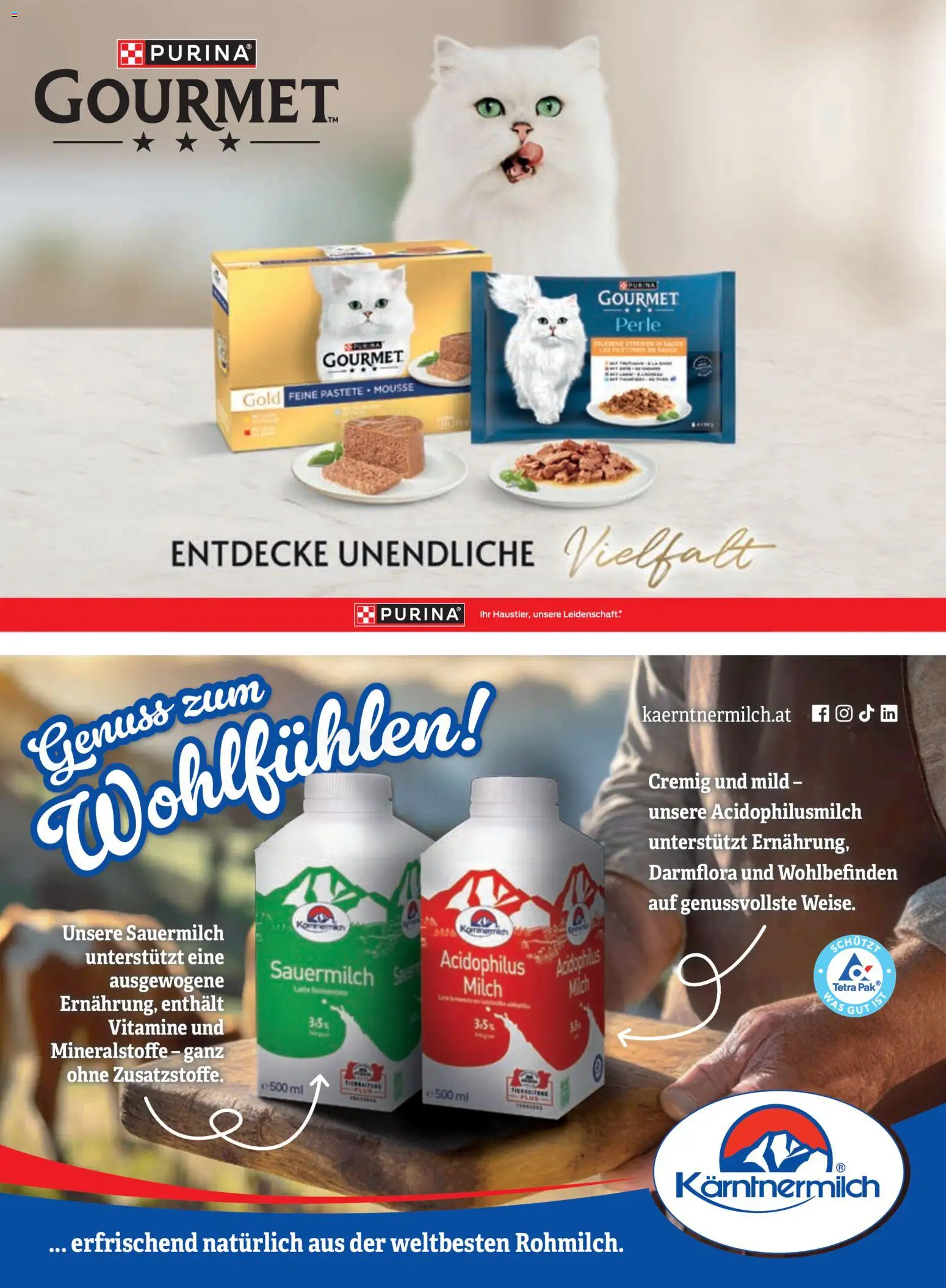 Penny Markt Schmankerl Post gültig ab 31.05.2026 | Seite: 63 | Produkte: Milch