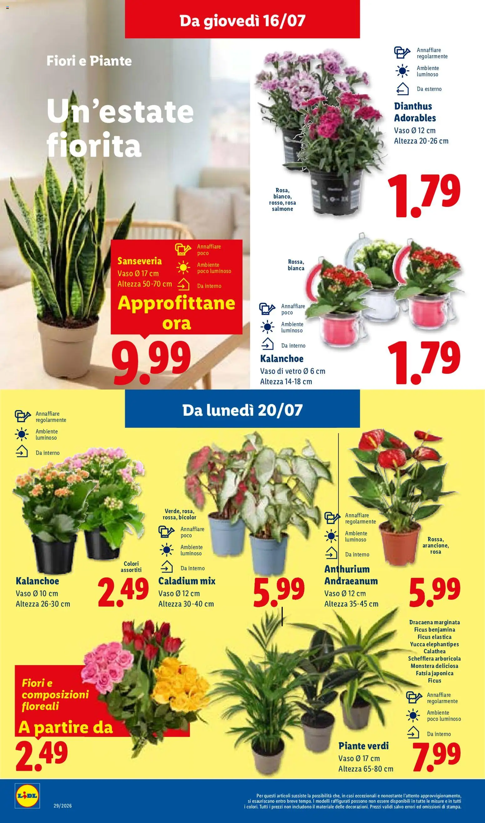 Volantino Lidl del 16/07/2026 | Pagina: 40 | Prodotti: Salmone, Fiori, Vaso