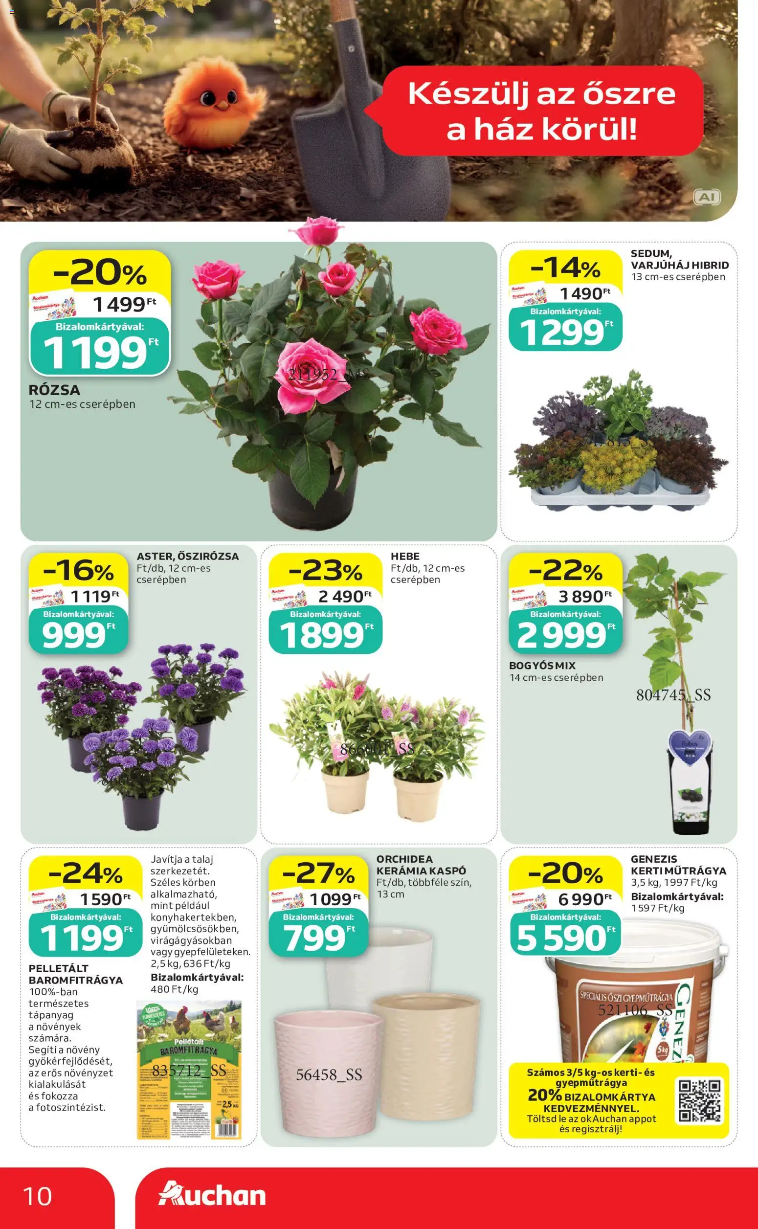 Auchan akciós ujság - amely érvényes a következő dátumtól: 2026.09.10. | Oldal: 10 | Termékek: Orchidea, Lé, Rosé, Kaspó