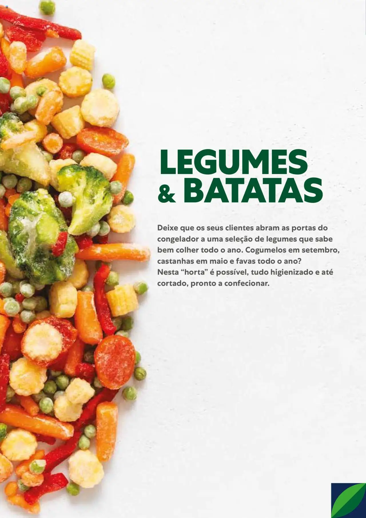 Recheio Congelados │ válido de 01/02/2024 | Página: 4 | Produtos: Congelador, Favas, Castanhas, Cogumelos