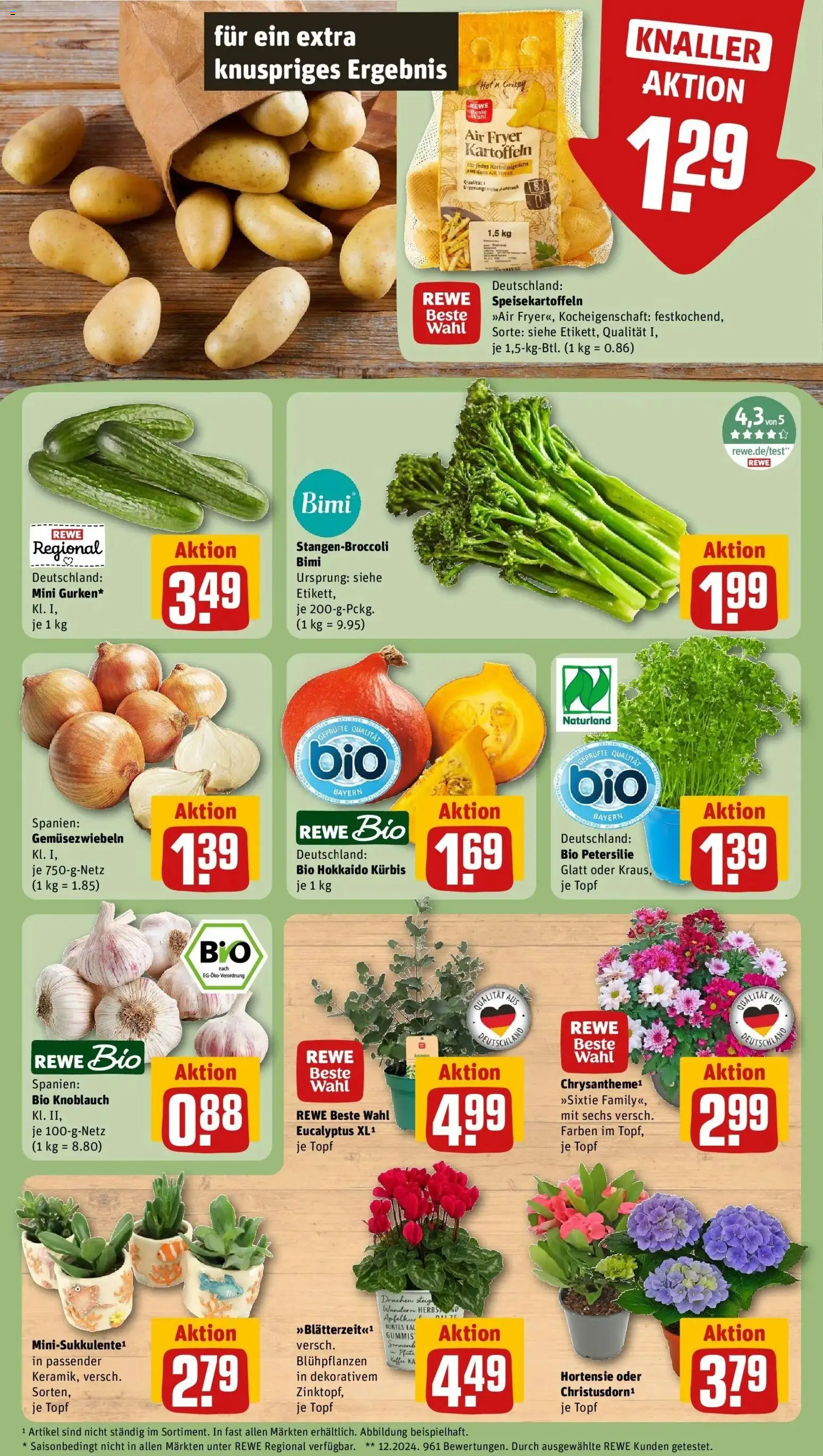 REWE Prospekt ab 24.08.2026 zum Blättern » Angebote | Seite: 7 | Produkte: Kaffee, Kartoffeln, Kürbis, Petersilie
