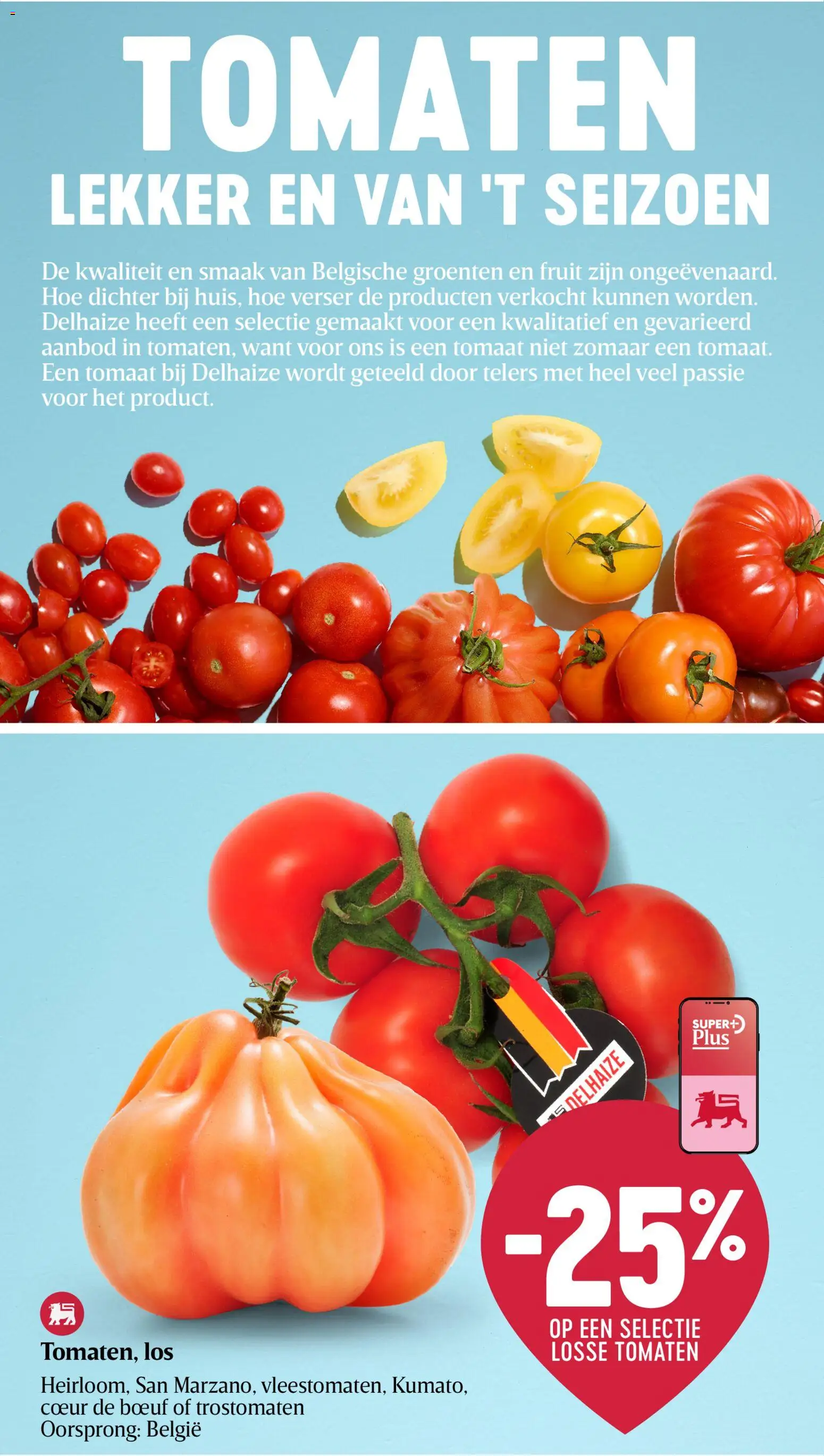 {H1} | Pagina: 16 | Producten: Tomaten, Fruit, Groenten, Tomaat