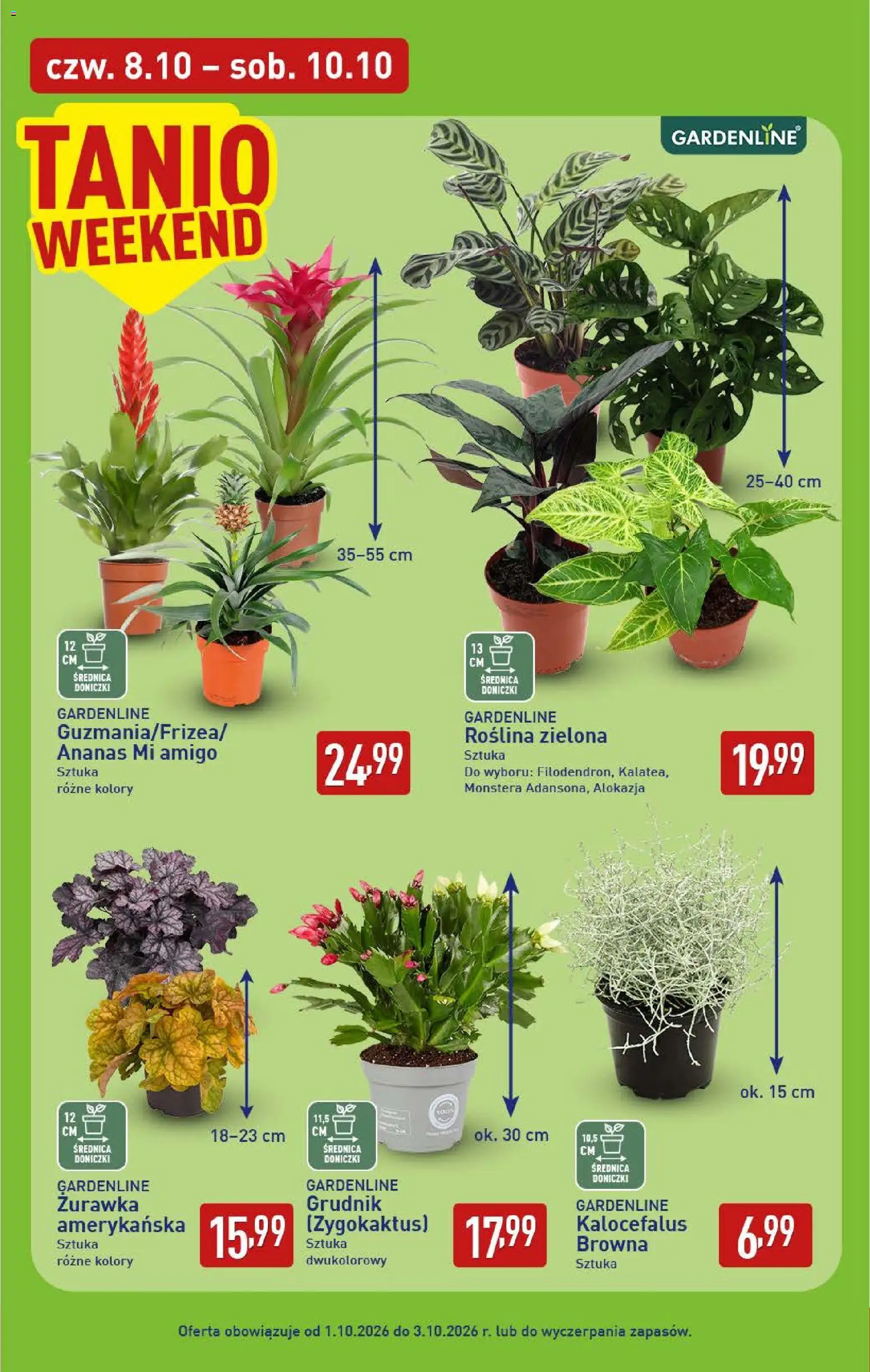 Aldi Polsko leták od 05.10.2026 | Strana: 39